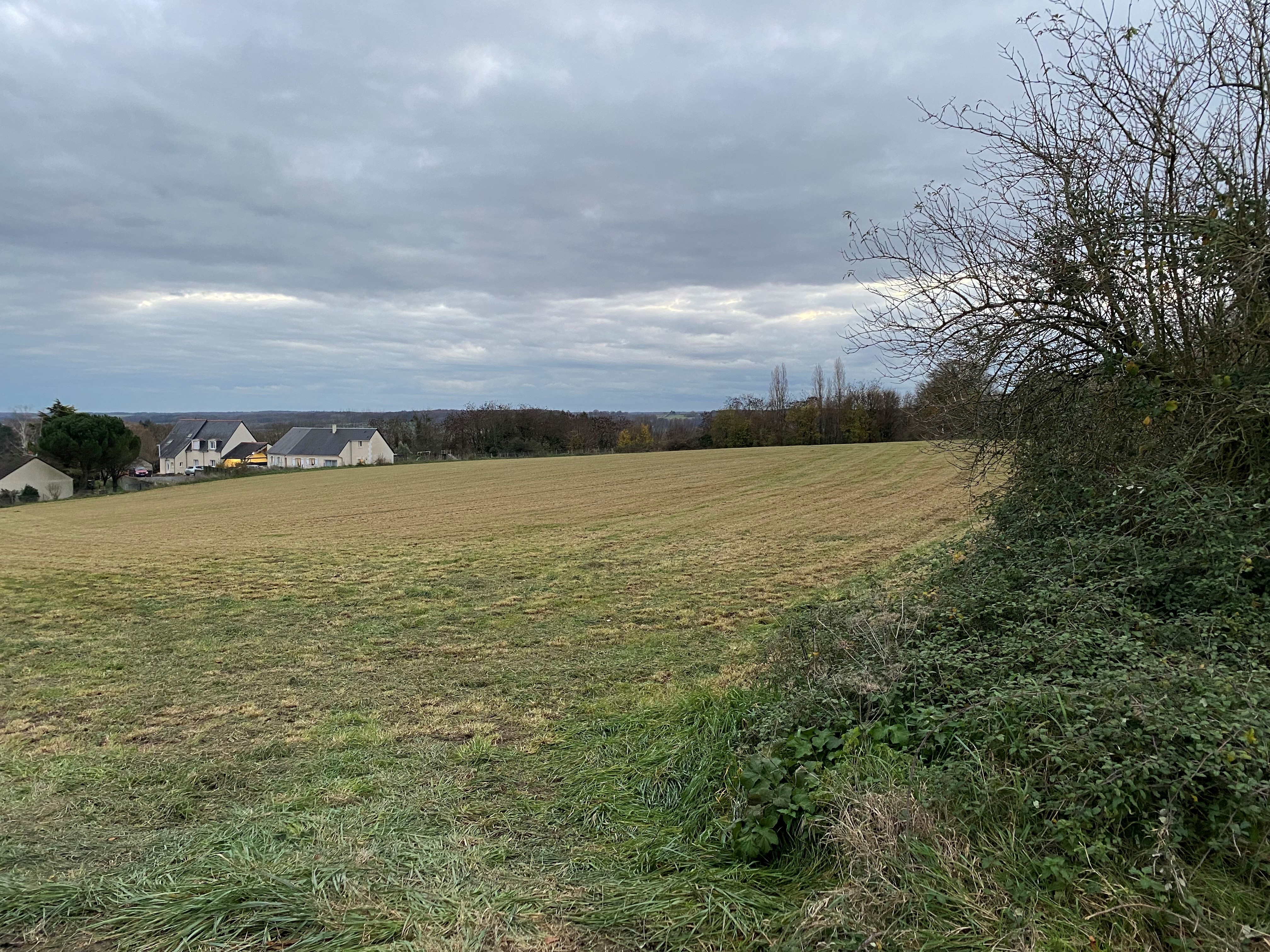 Construction Maison à Azay-le-Rideau 4 pièces