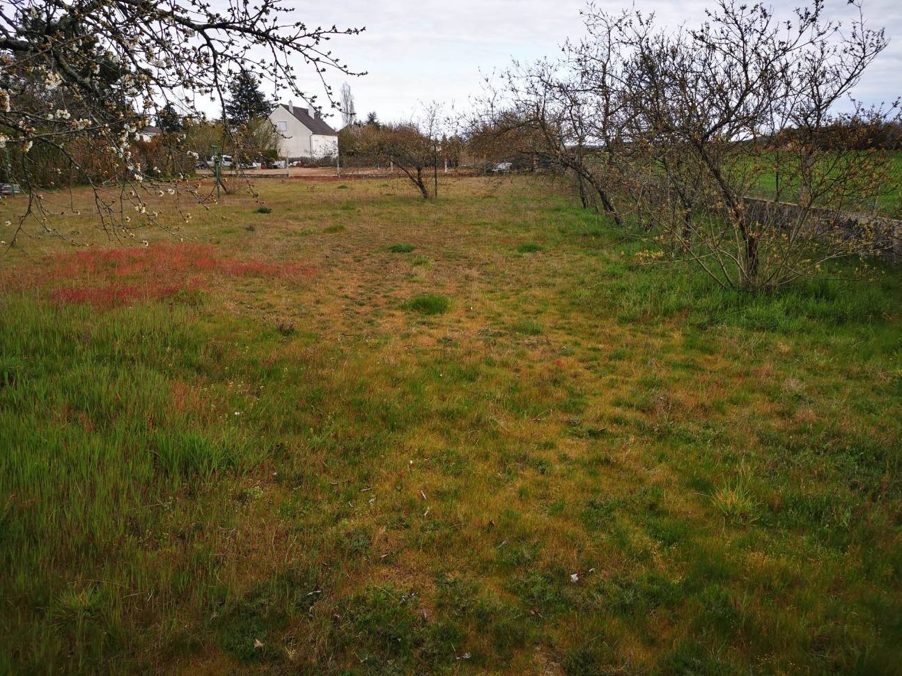 Construction Maison à Sainte-Maure-de-Touraine 4 pièces