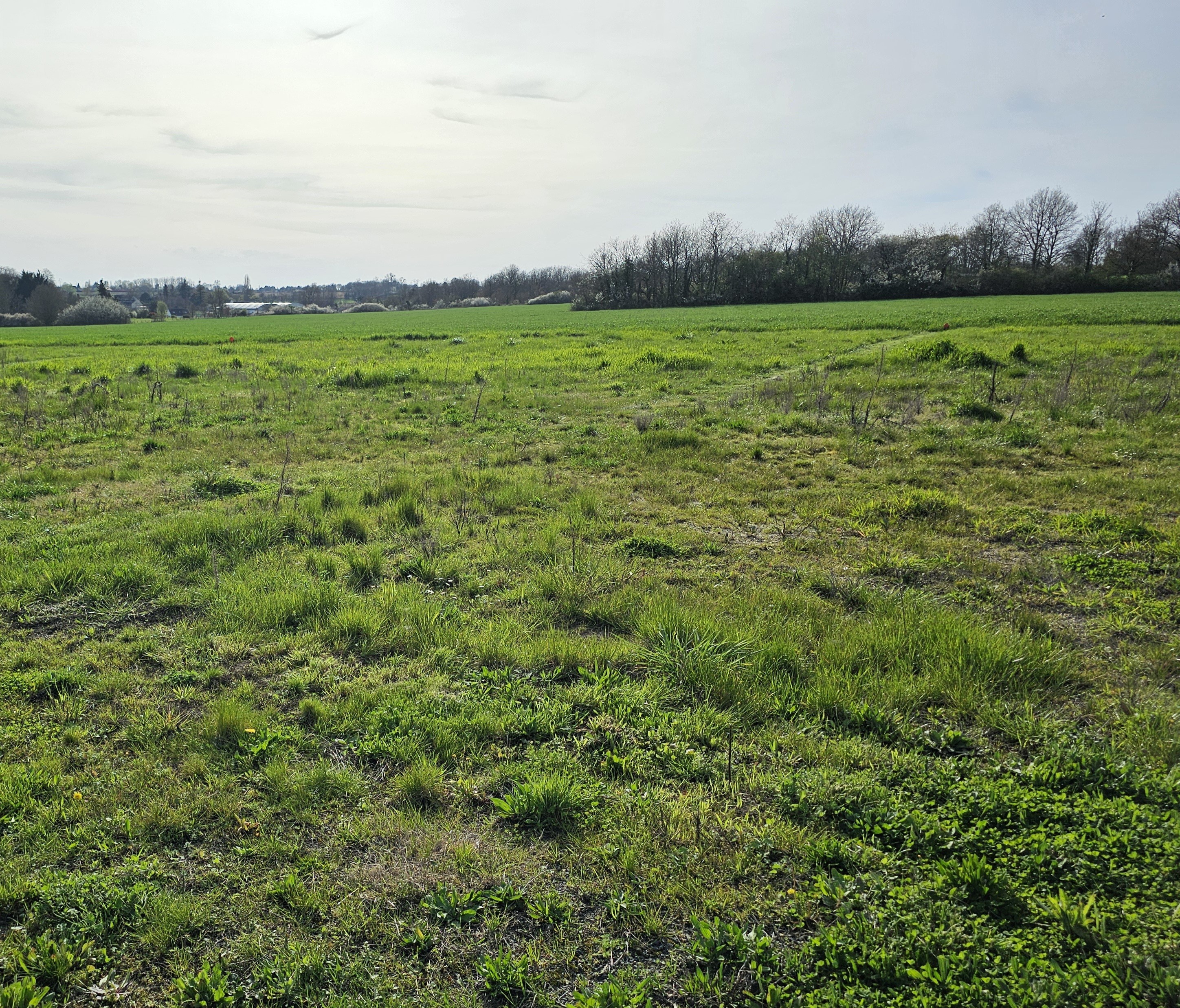 Construction Maison à Sainte-Maure-de-Touraine 4 pièces