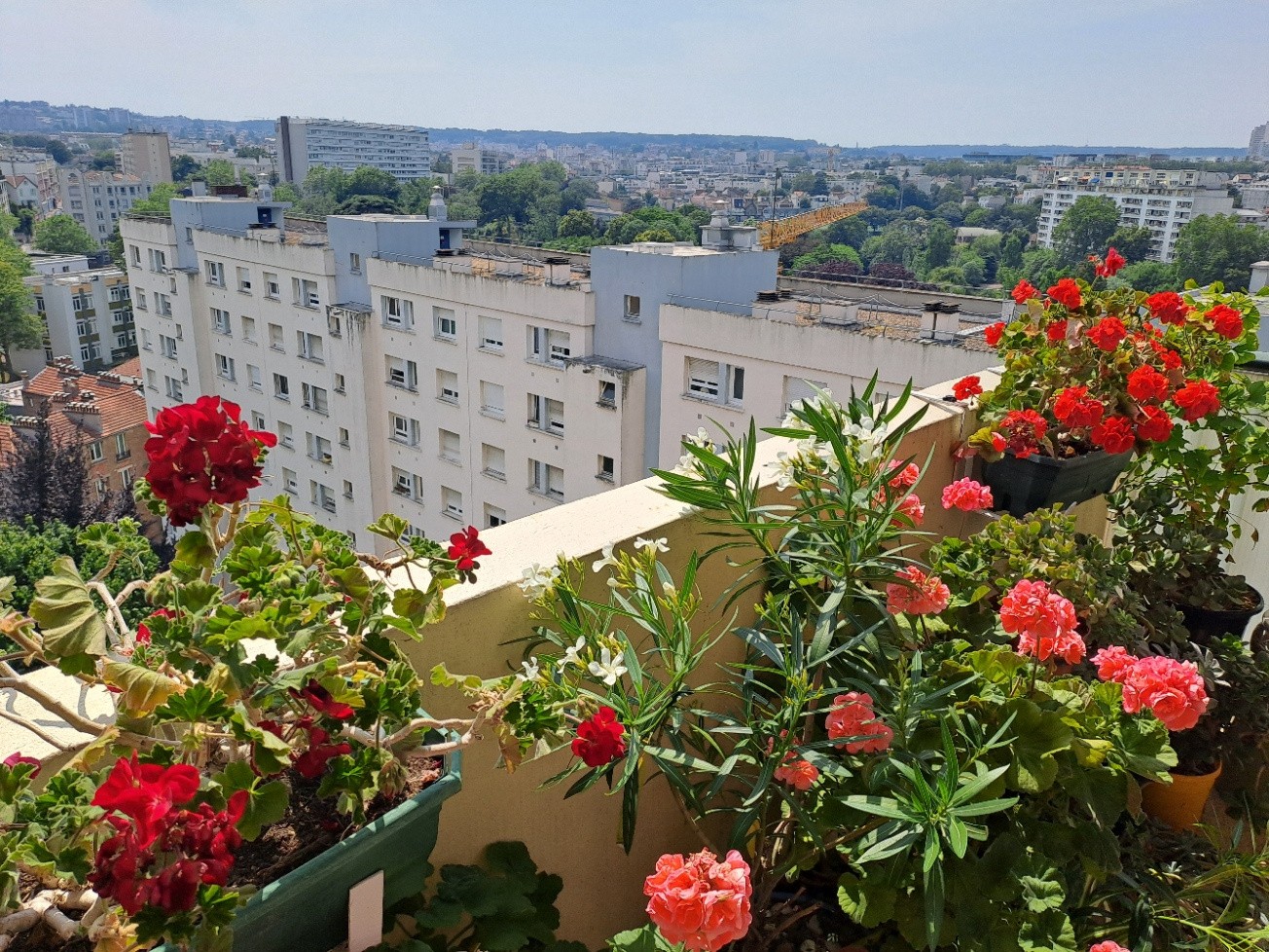 Vente Appartement à Vanves 3 pièces