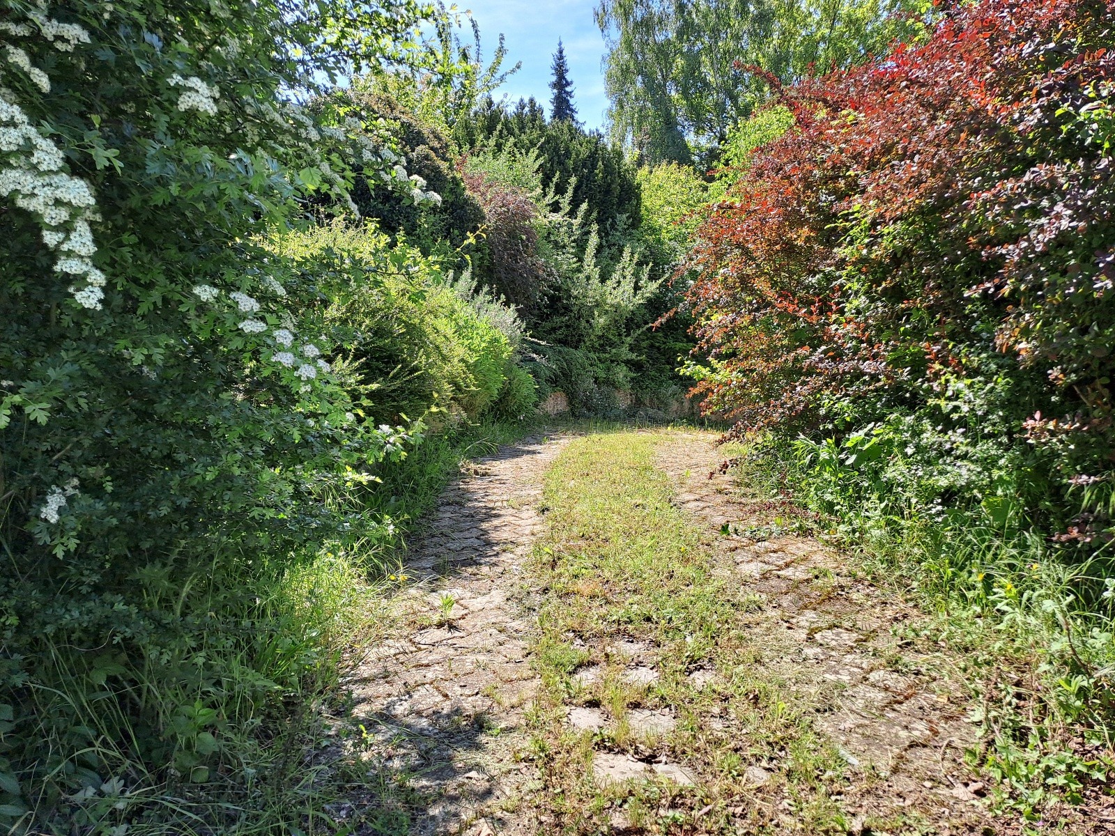 Vente Maison à Maintenon 3 pièces