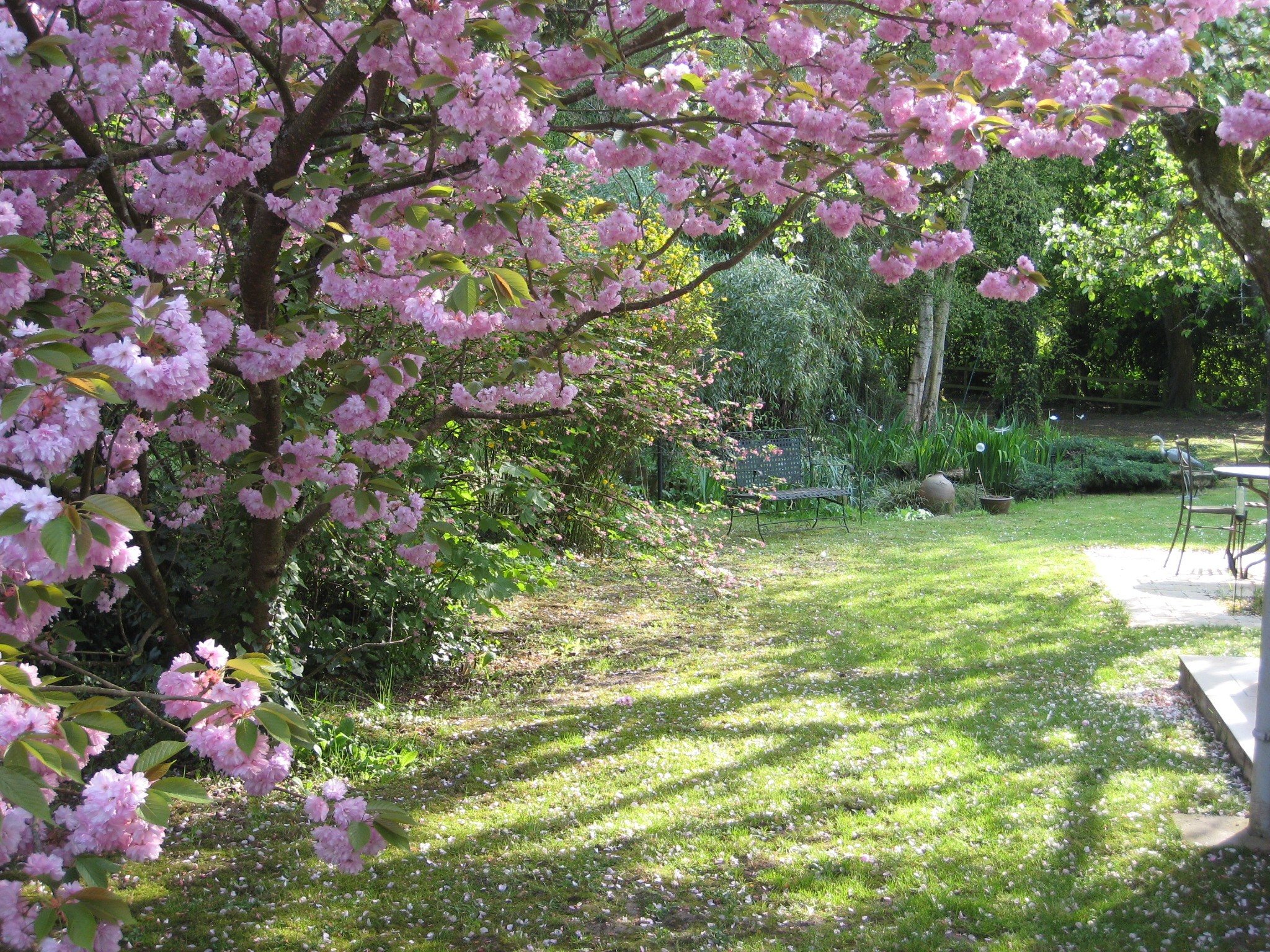 Vente Maison à Dourdan 6 pièces