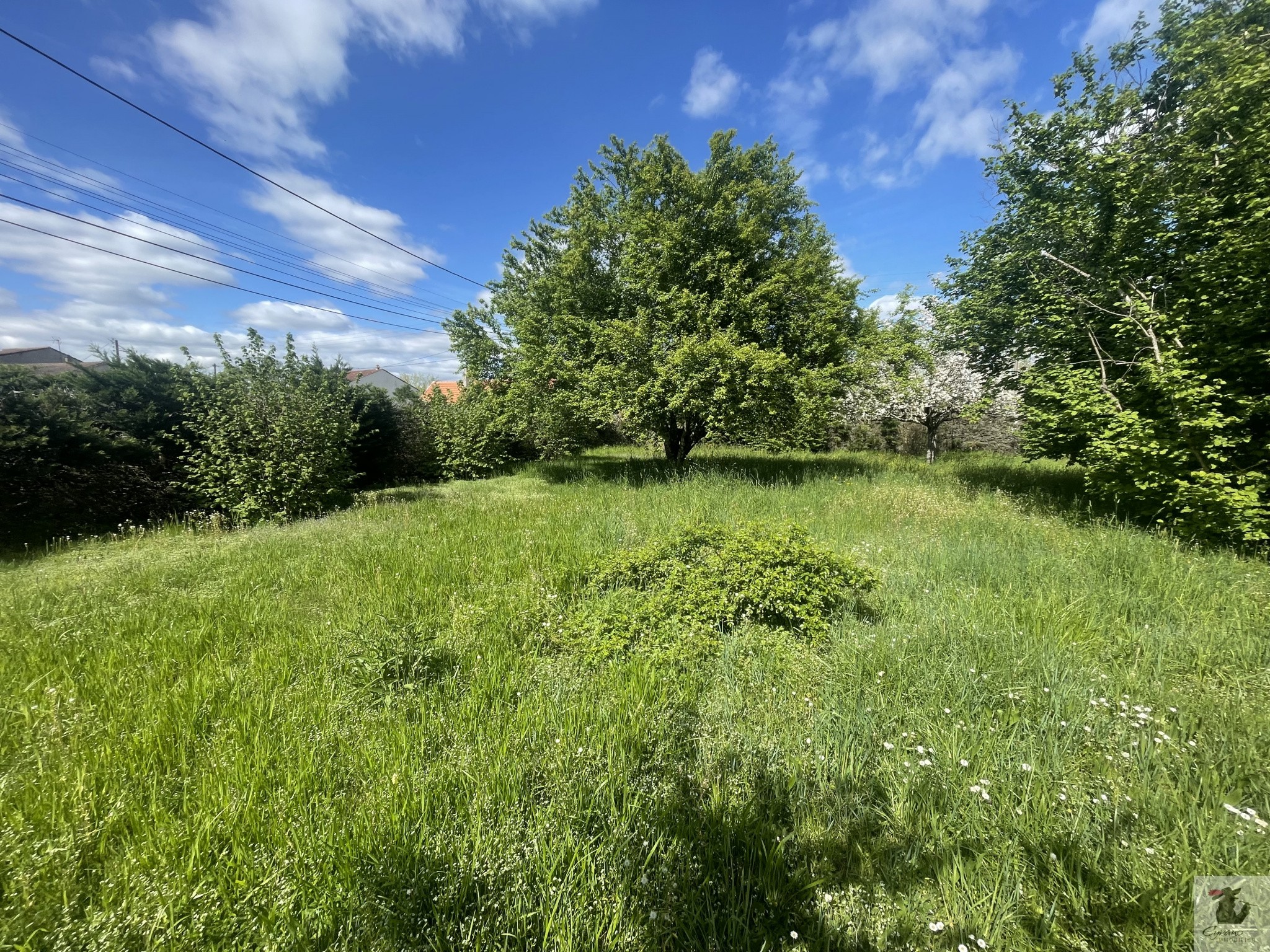 Vente Terrain à Bergerac 0 pièce