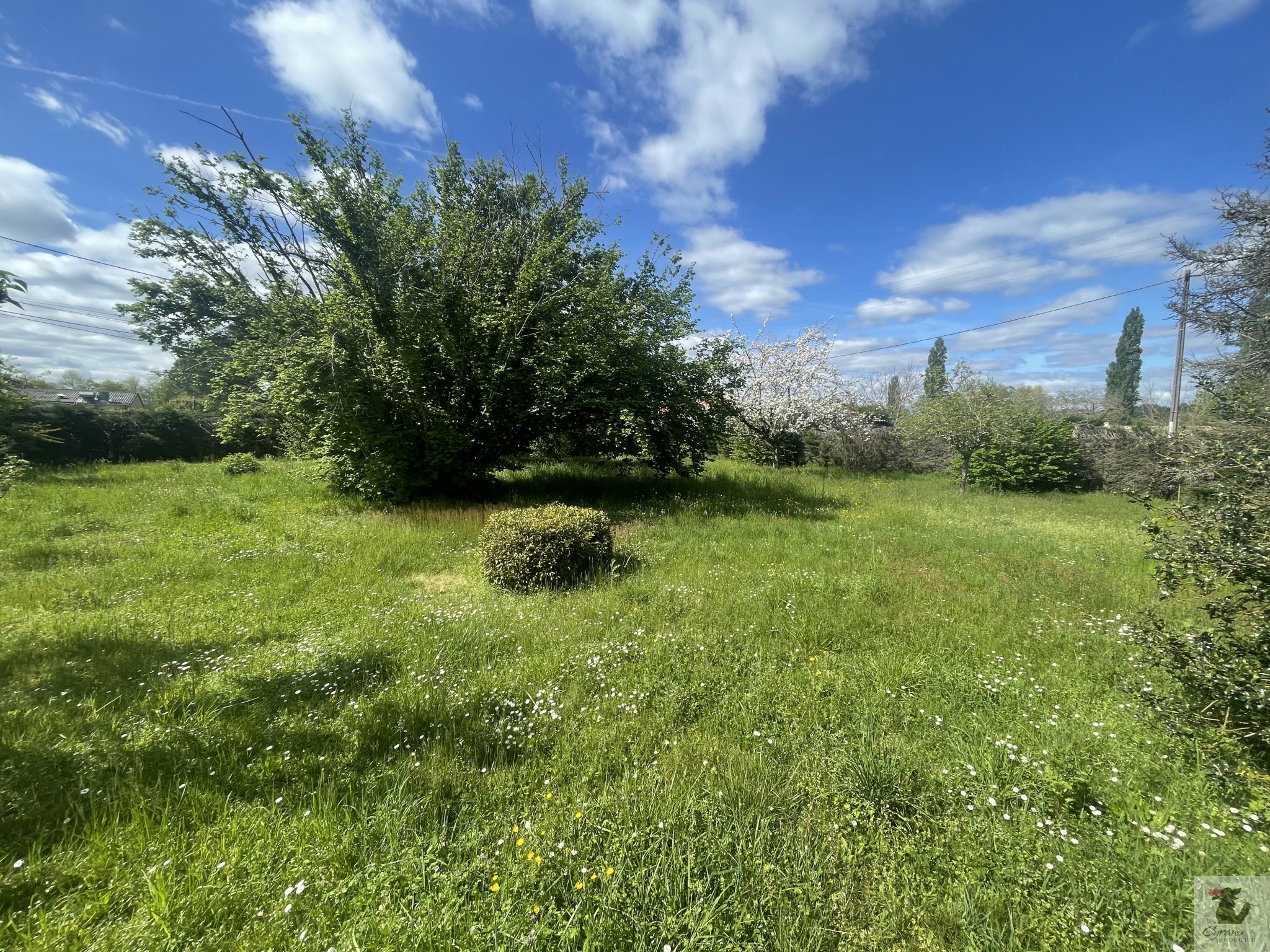 Vente Terrain à Bergerac 0 pièce