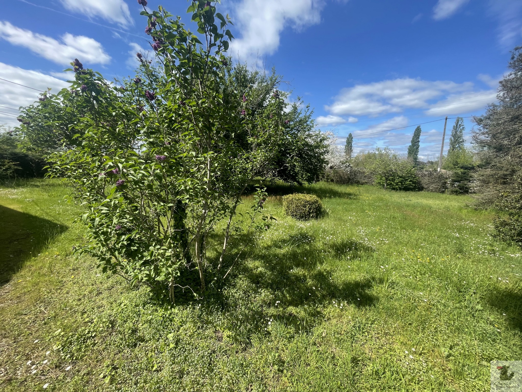 Vente Terrain à Bergerac 0 pièce