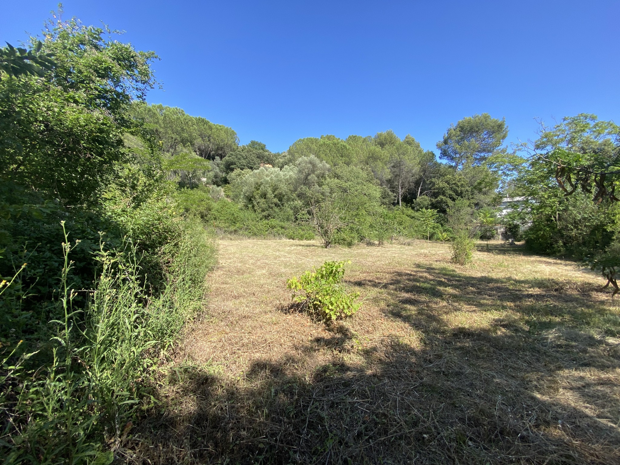 Vente Maison à Saint-Georges-d'Orques 10 pièces