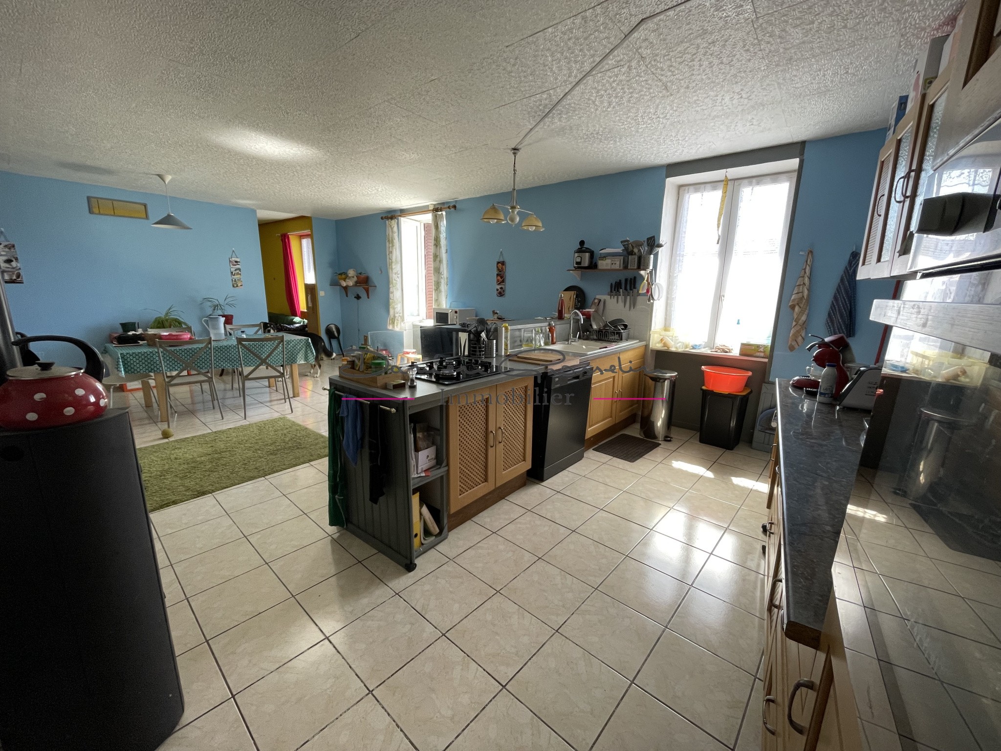 Vente Maison à Bourg-de-Thizy 4 pièces