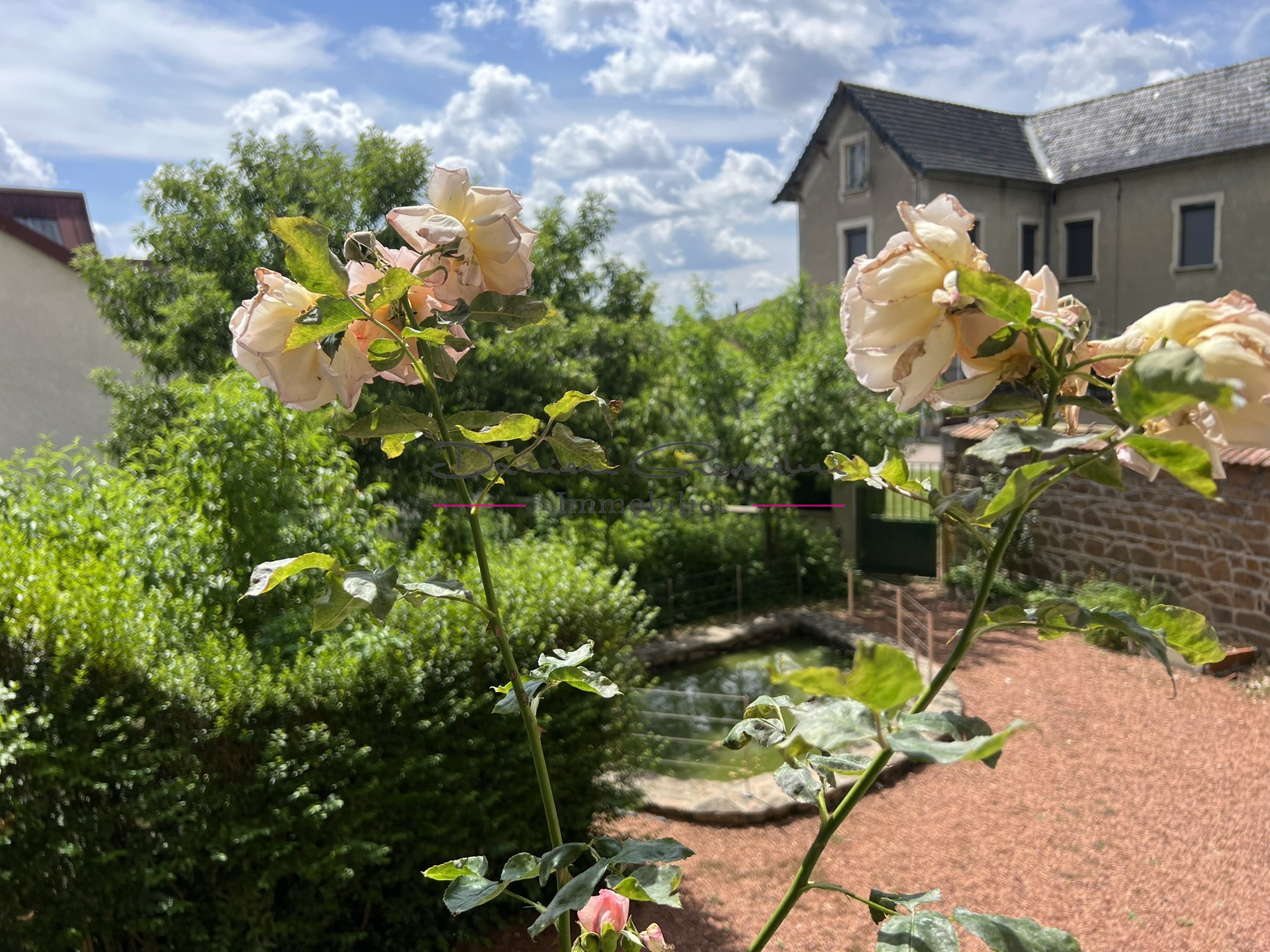 Vente Maison à Bourg-de-Thizy 8 pièces