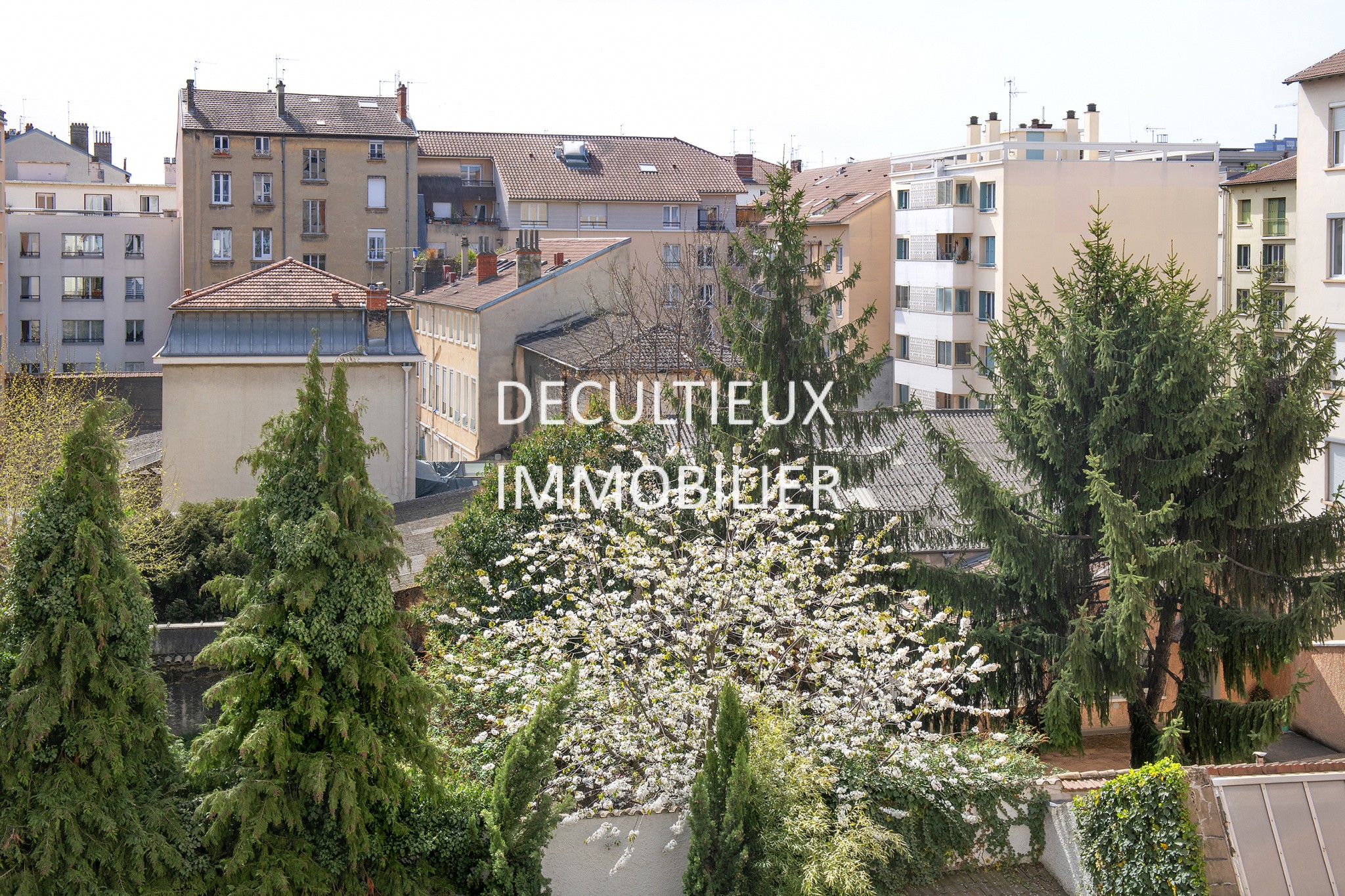 Vente Appartement à Villeurbanne 5 pièces