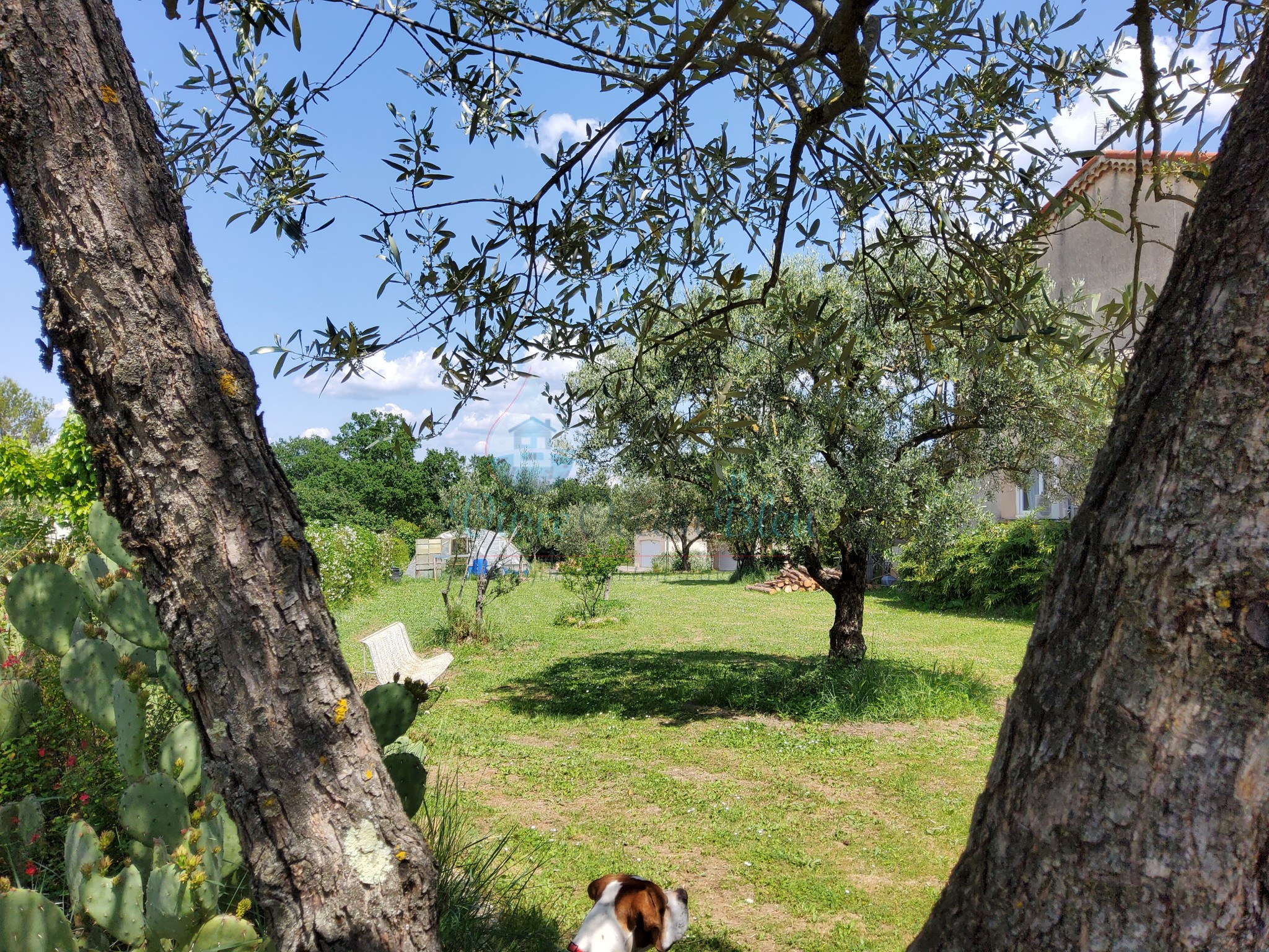 Vente Maison à Alès 7 pièces