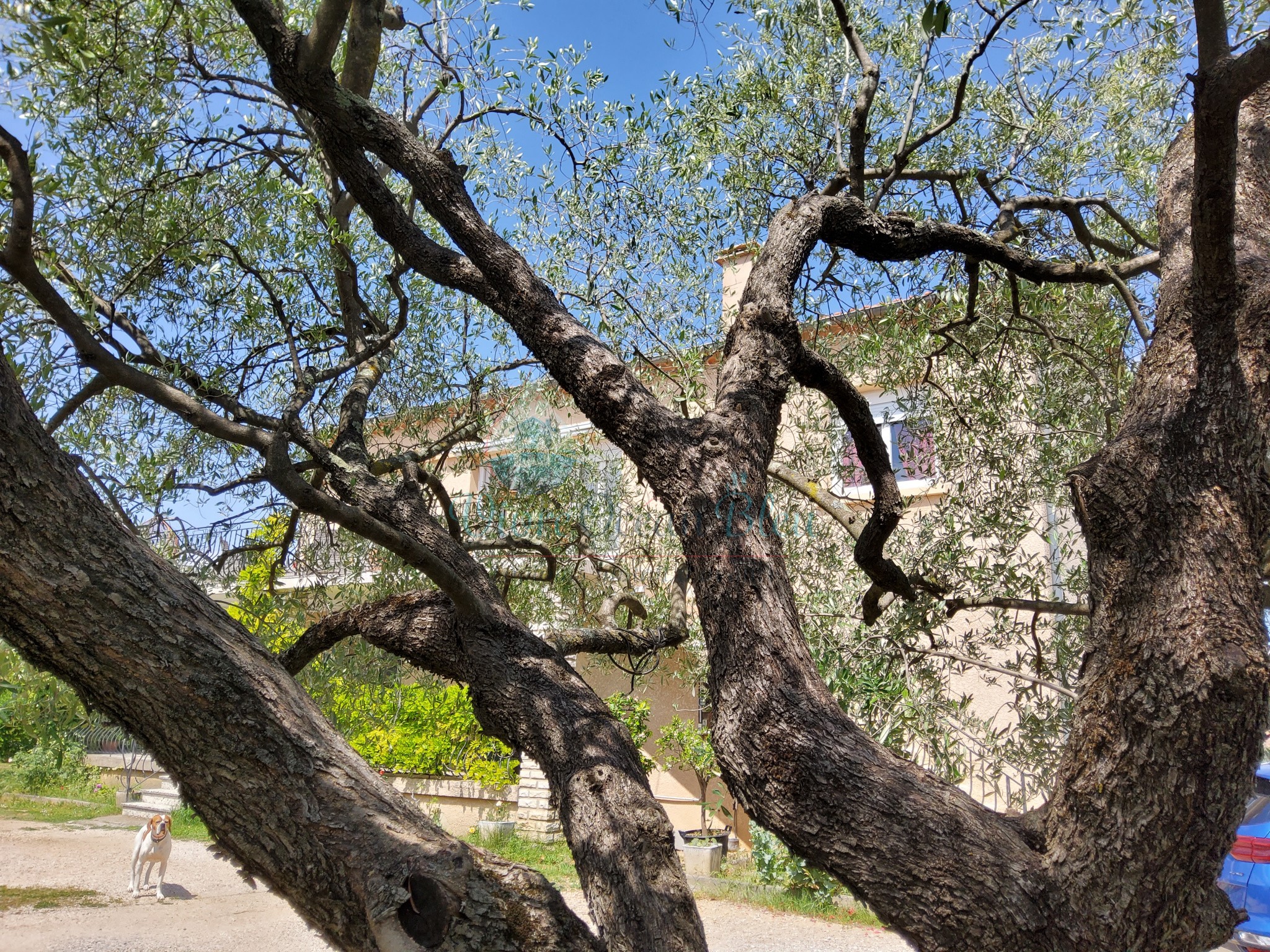 Vente Maison à Alès 7 pièces