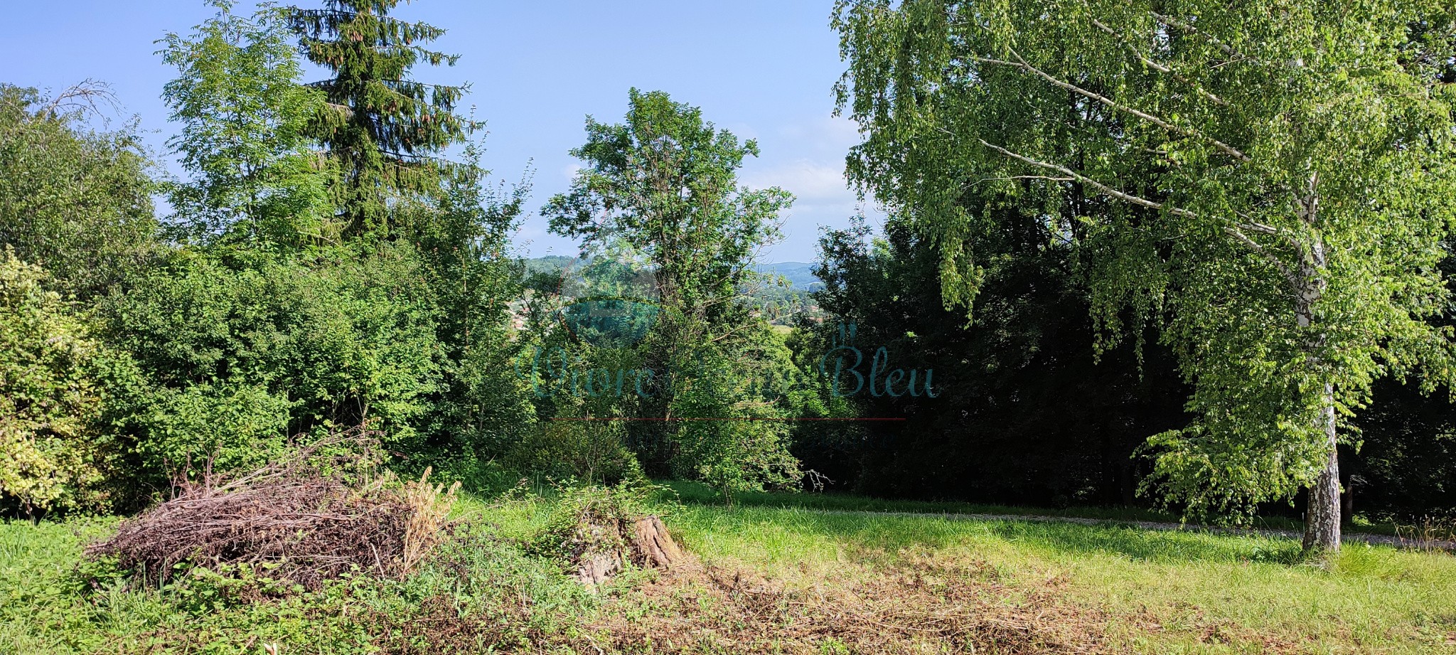 Vente Terrain à Saint-Girons 0 pièce