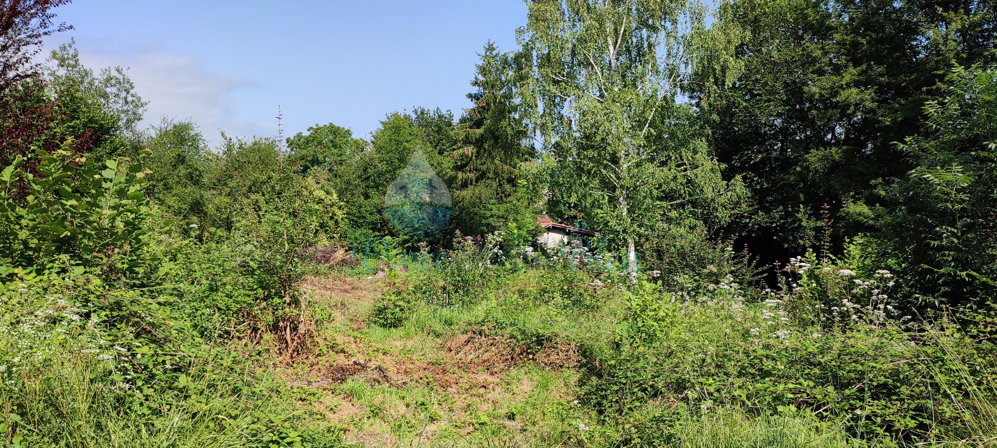 Vente Terrain à Saint-Girons 0 pièce