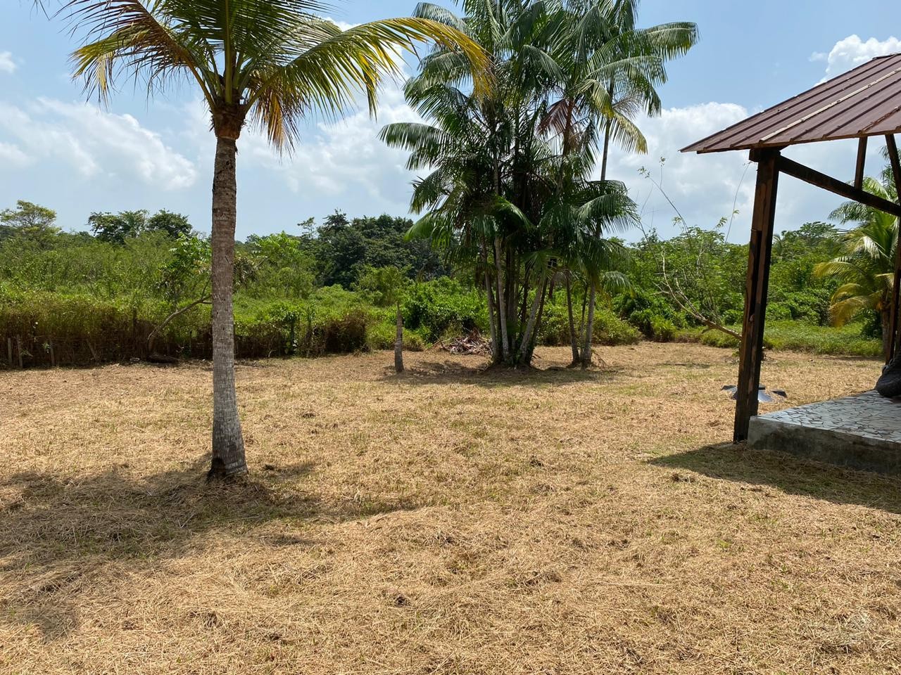 Vente Terrain à Macouria 0 pièce