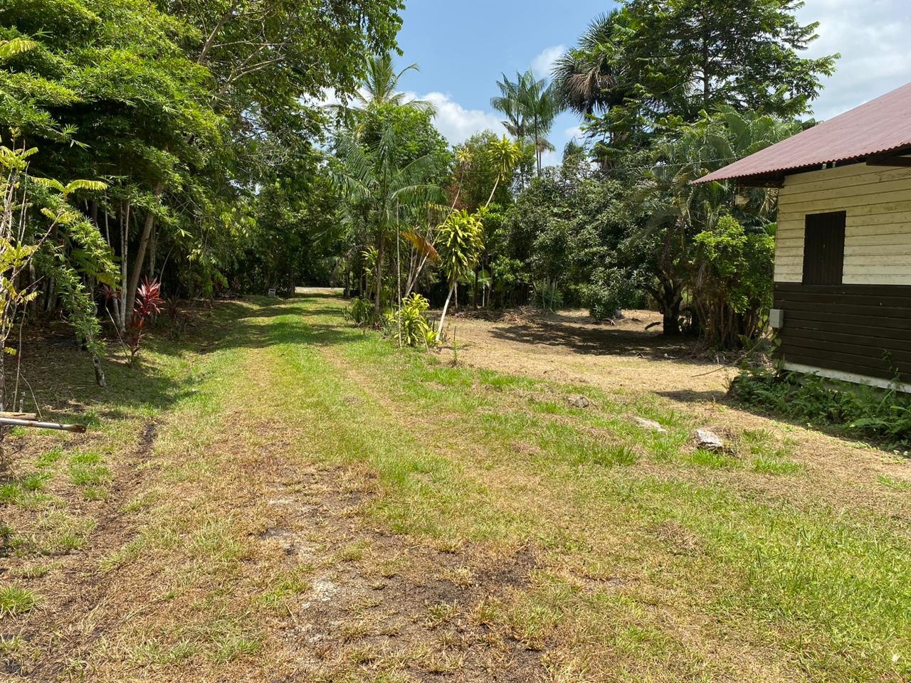 Vente Terrain à Macouria 0 pièce