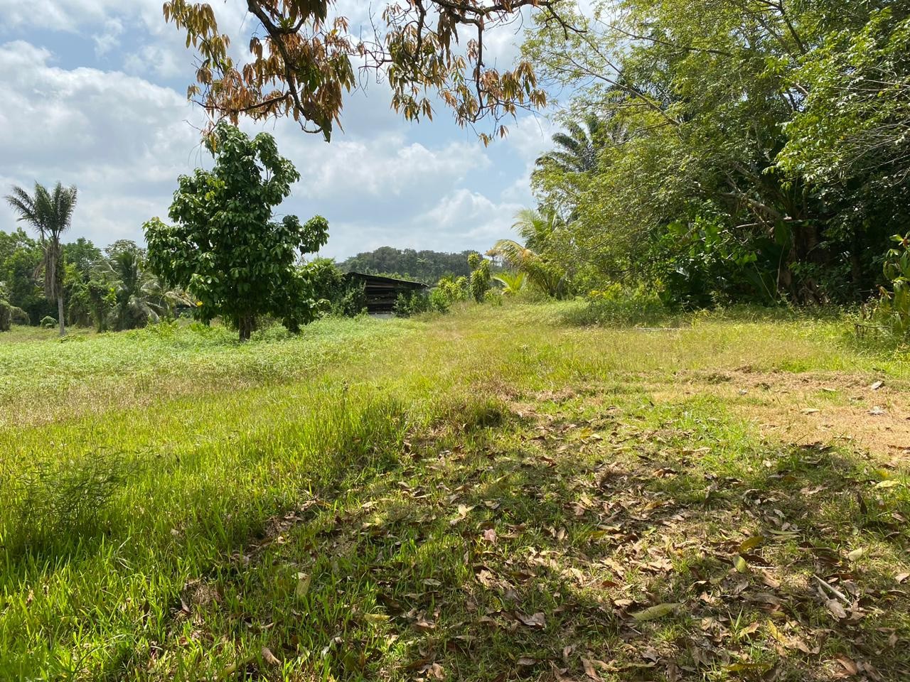 Vente Terrain à Macouria 0 pièce