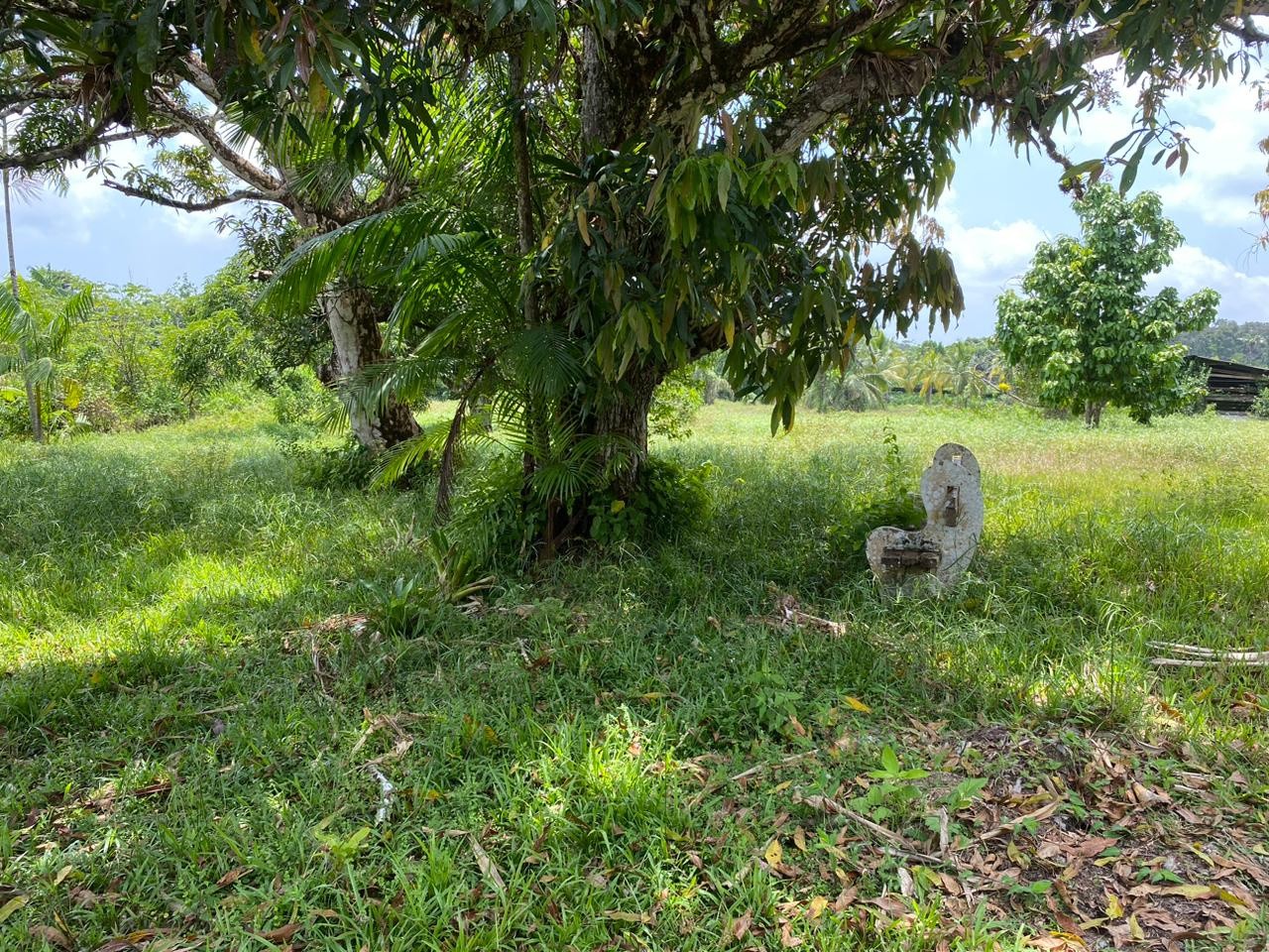 Vente Terrain à Macouria 0 pièce