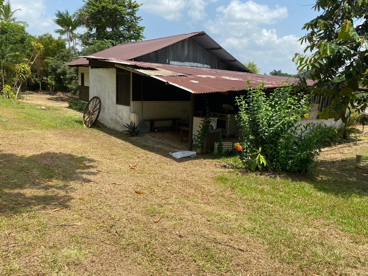 Vente Terrain à Macouria 0 pièce