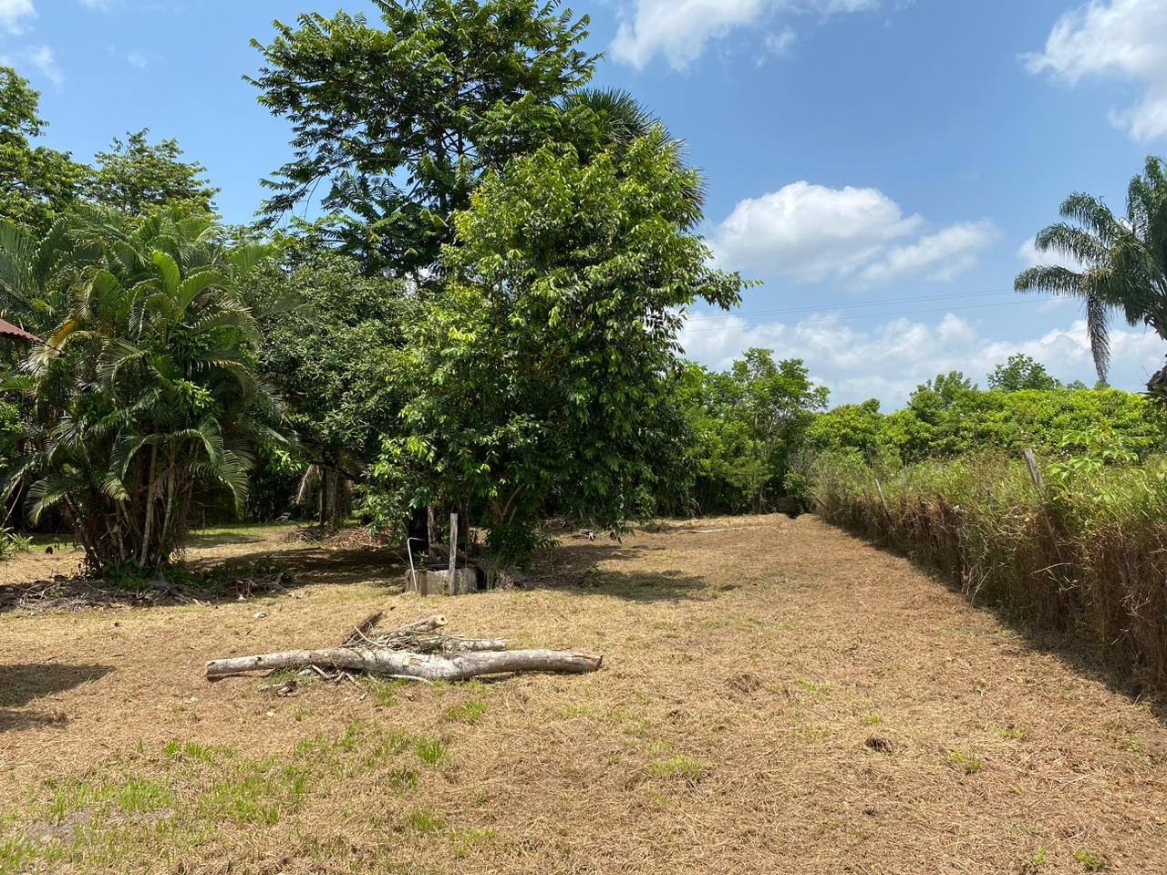 Vente Terrain à Macouria 0 pièce