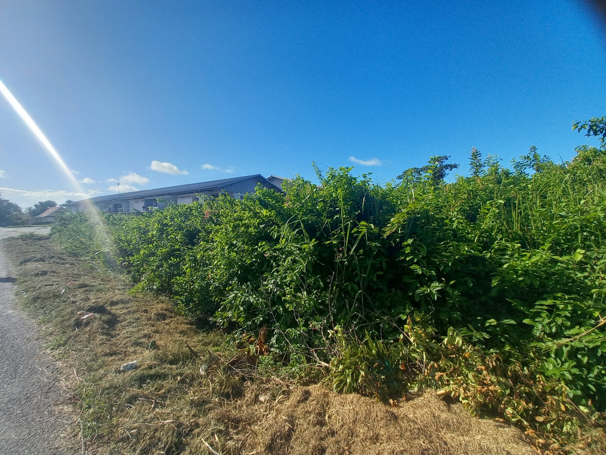 Vente Terrain à Macouria 0 pièce