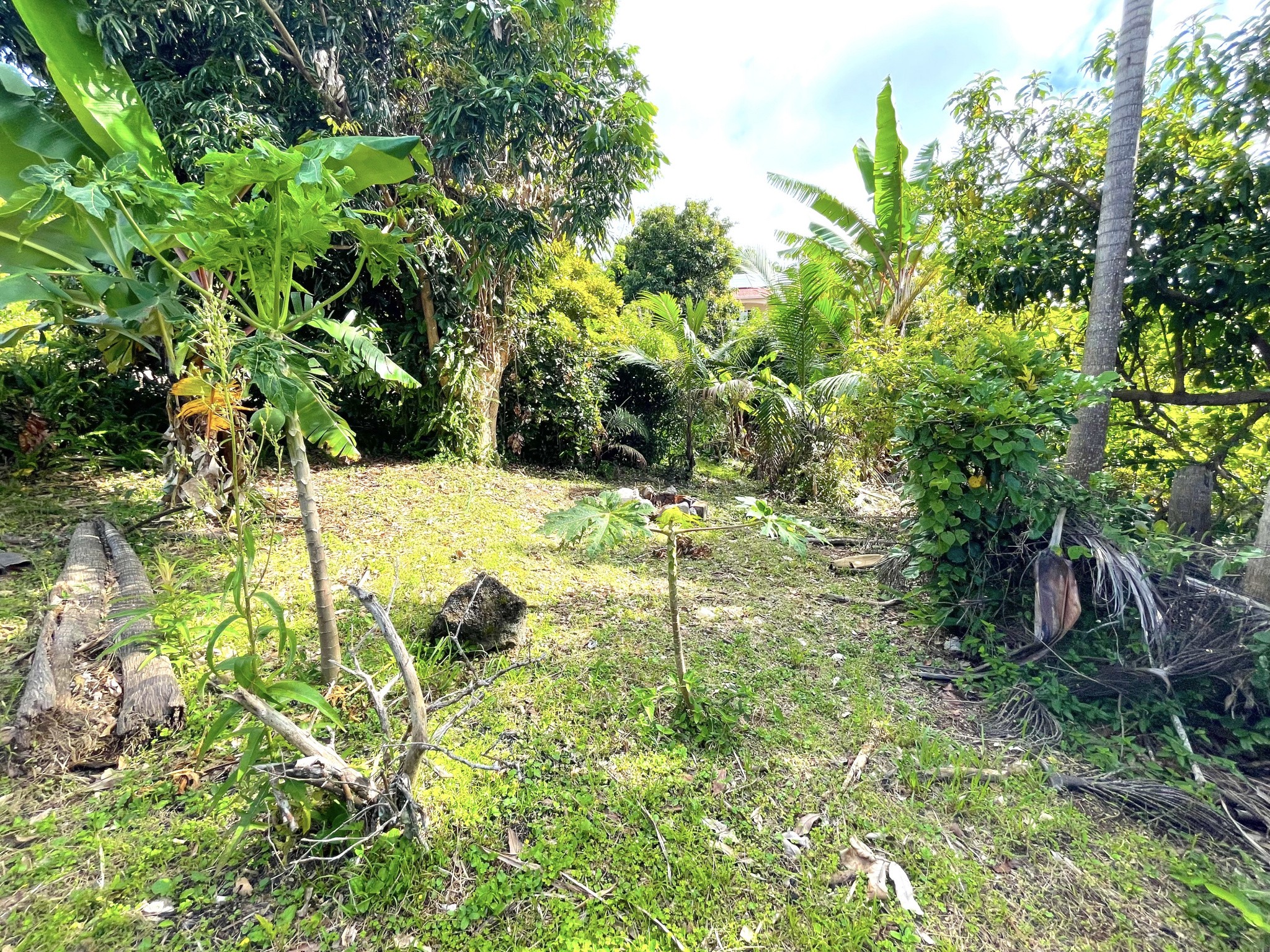 Vente Terrain à Saint-Joseph 0 pièce