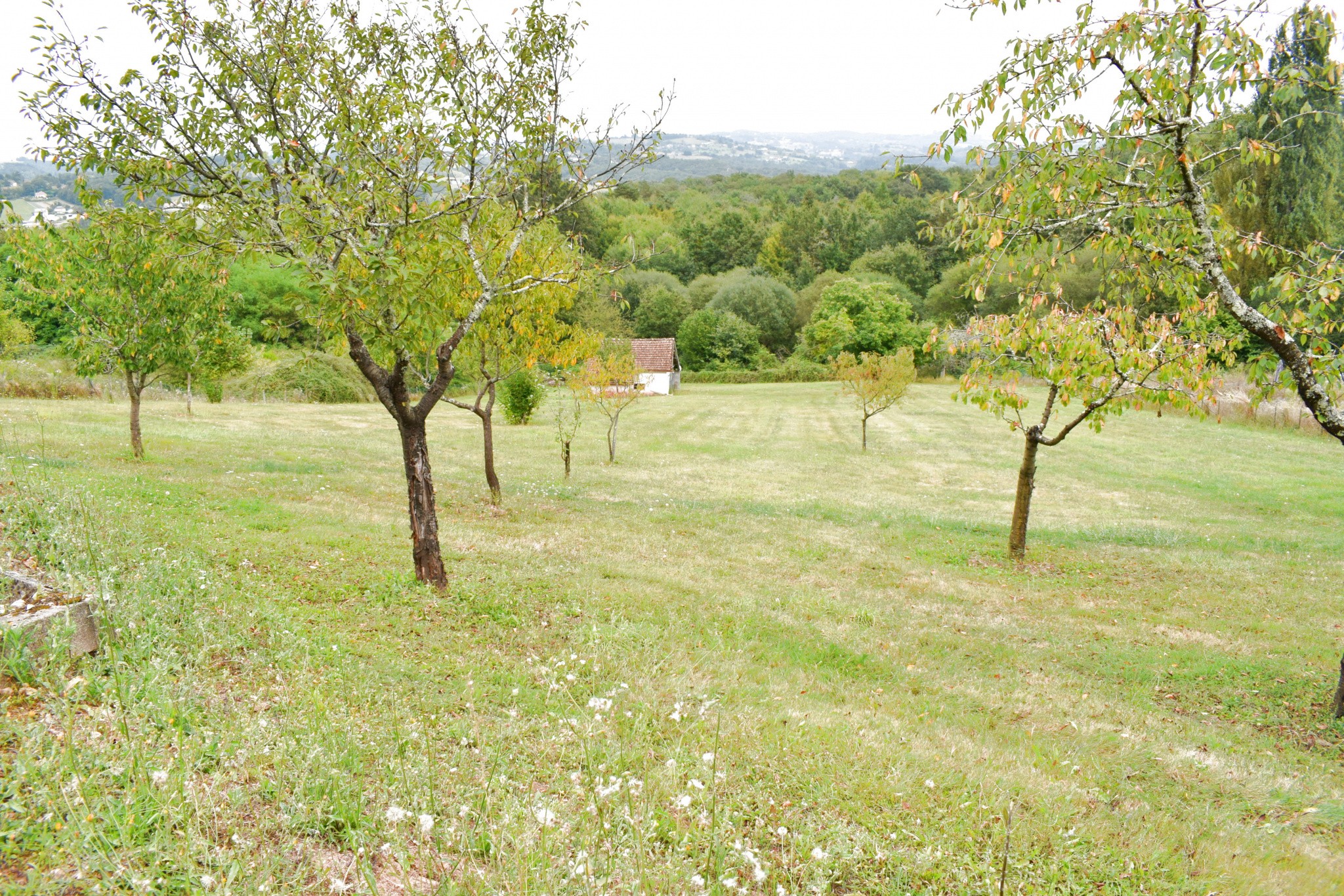 Vente Maison à Cosnac 6 pièces