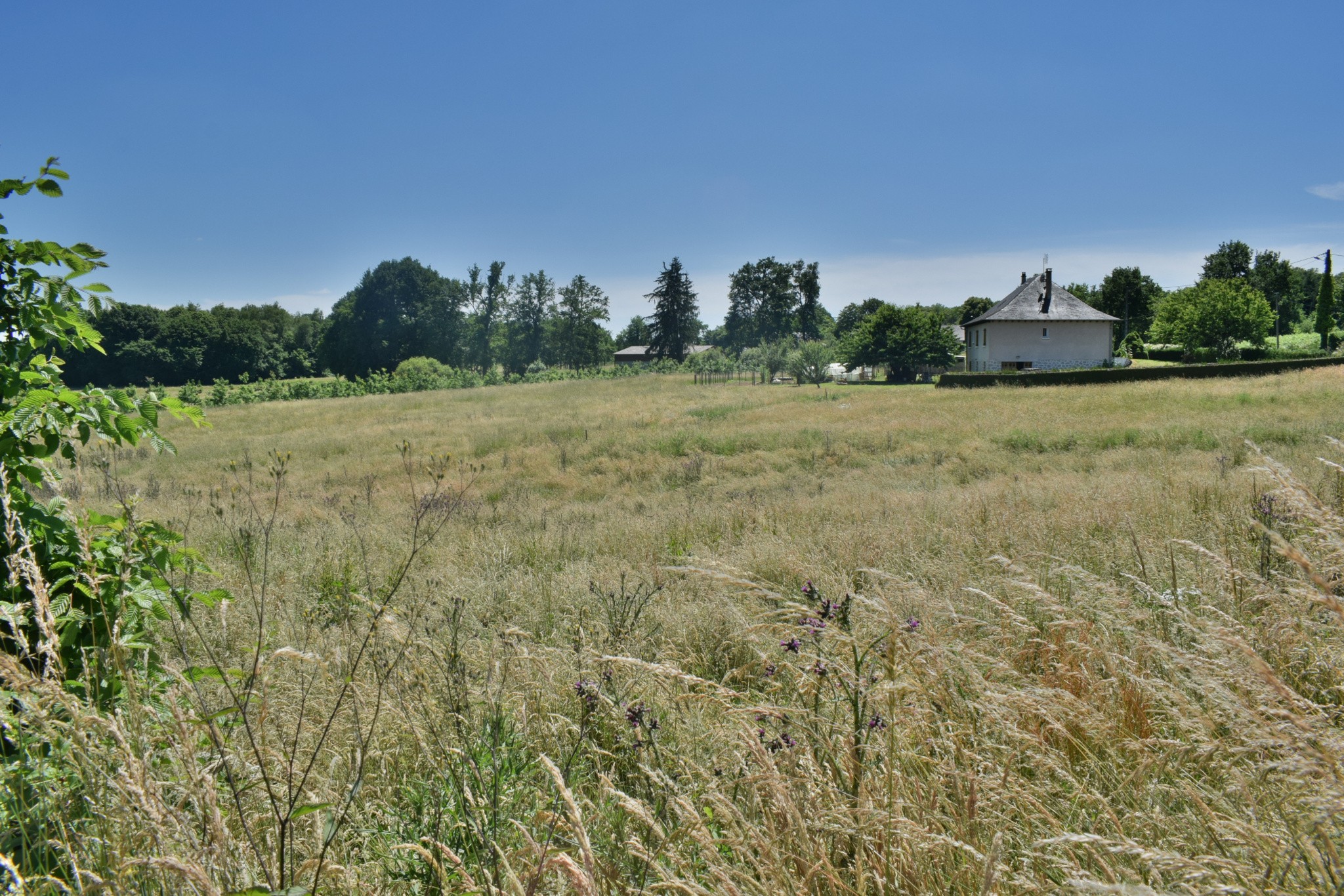 Vente Terrain à Perpezac-le-Noir 0 pièce