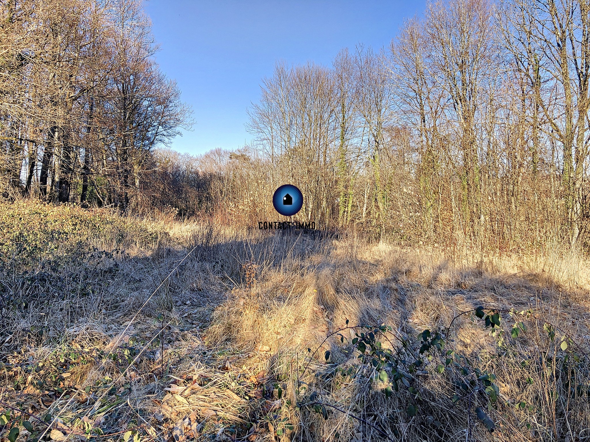 Vente Terrain à Beynat 0 pièce