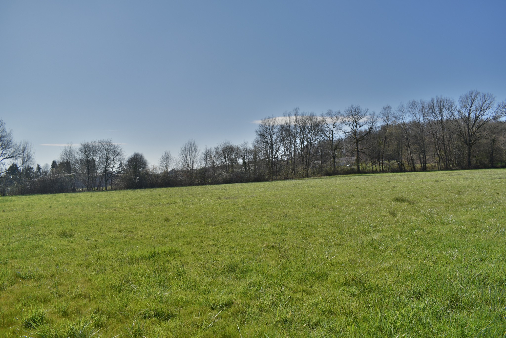 Vente Terrain à Brignac-la-Plaine 0 pièce