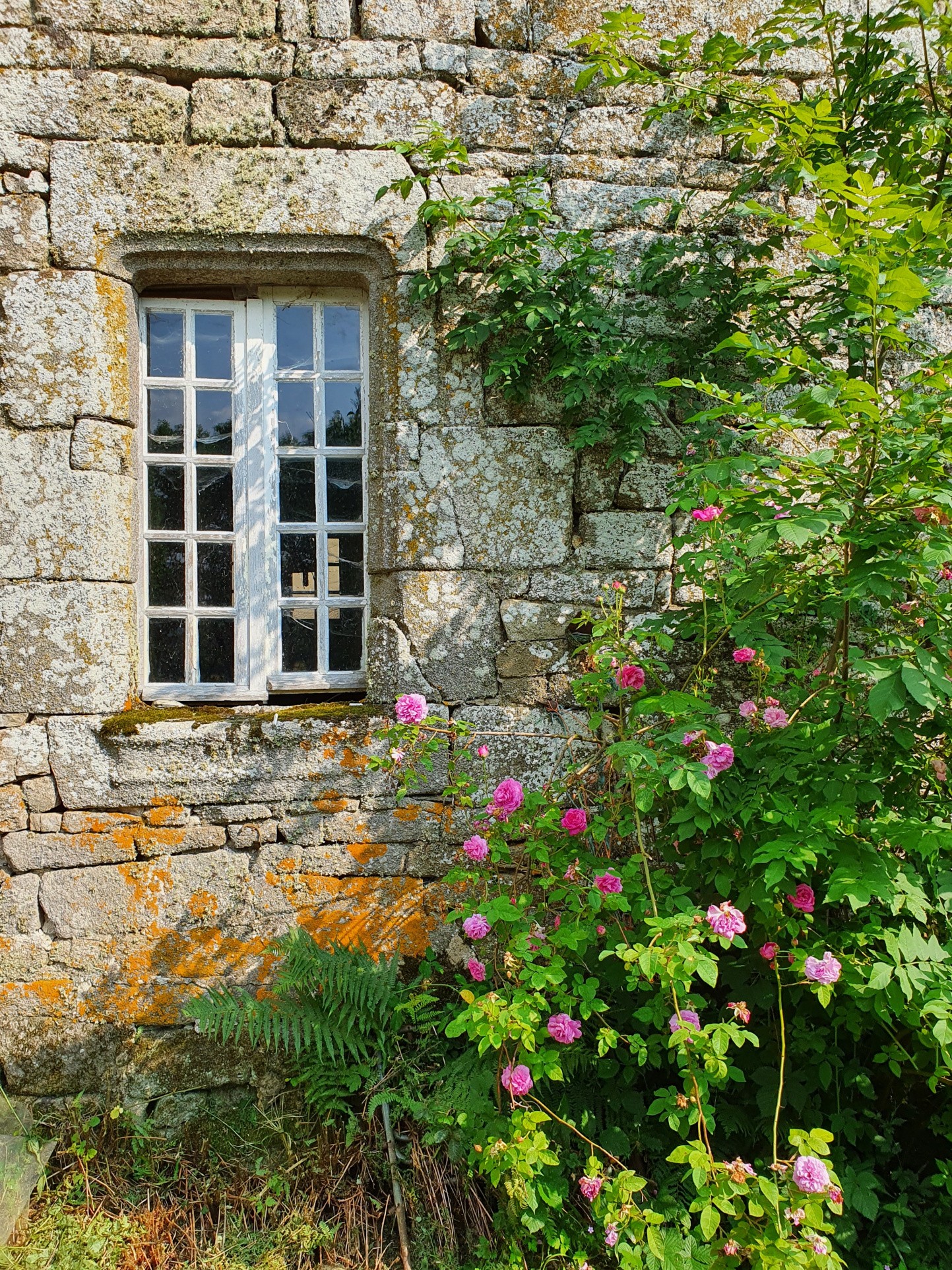 Vente Maison à Bassignac-le-Haut 4 pièces