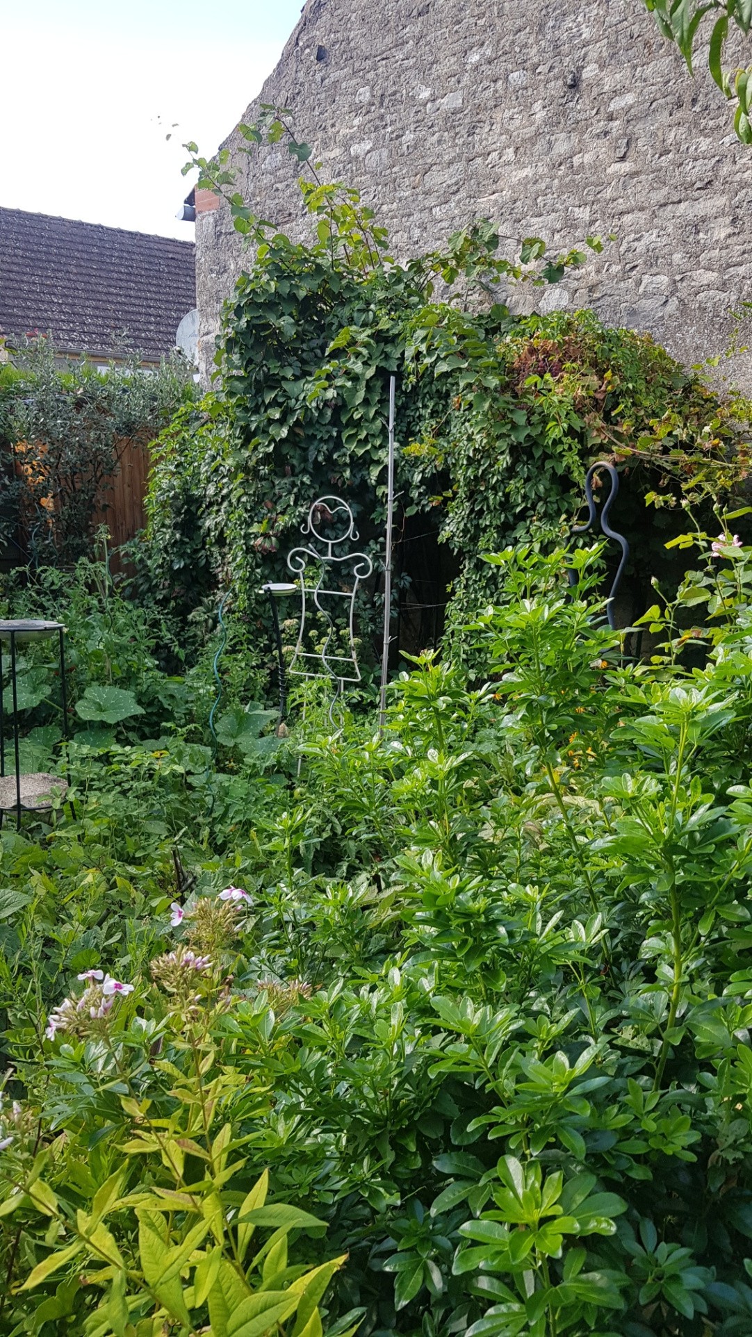 Viager Maison à Verdun-sur-le-Doubs 5 pièces