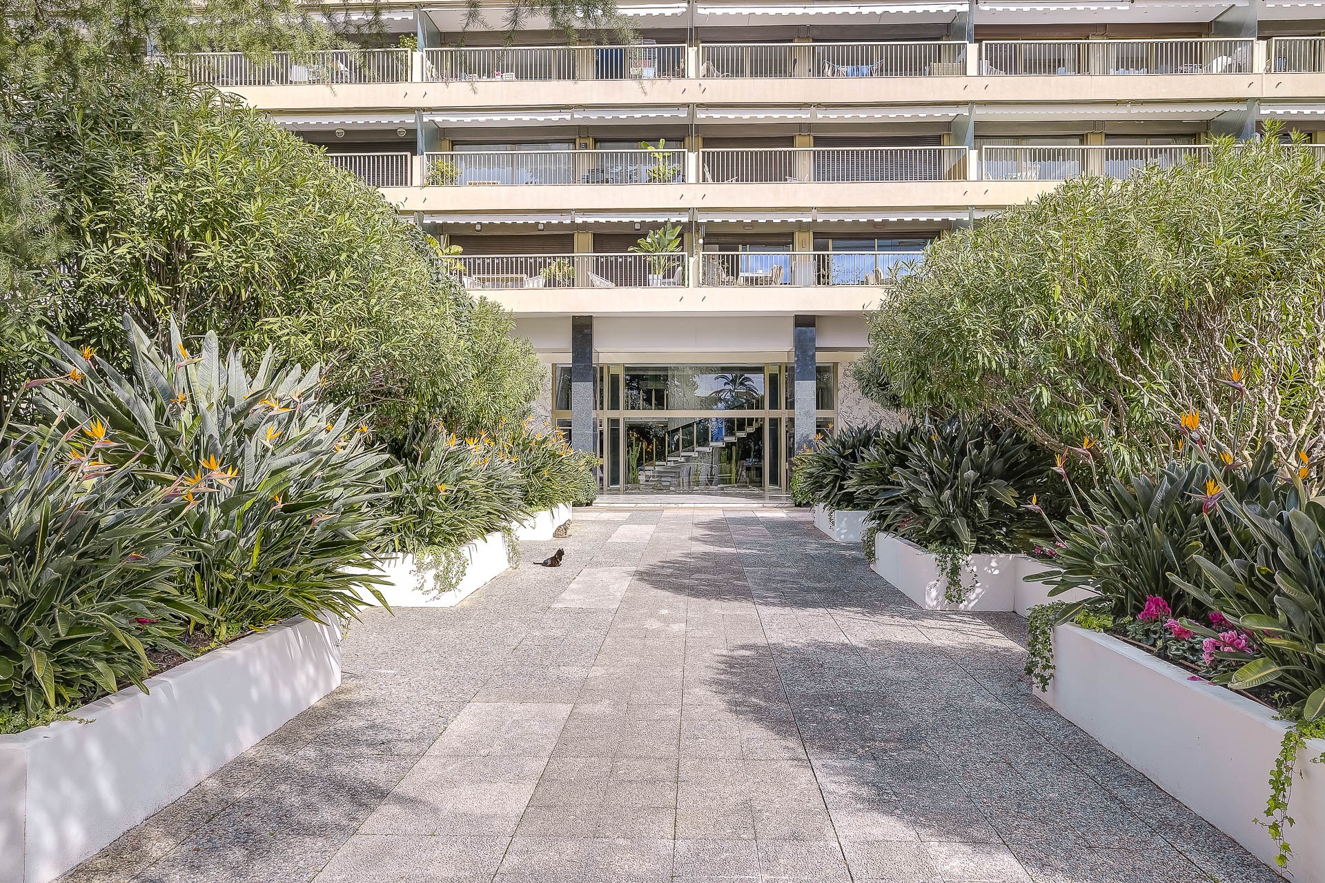 Vente Appartement à Cannes 4 pièces