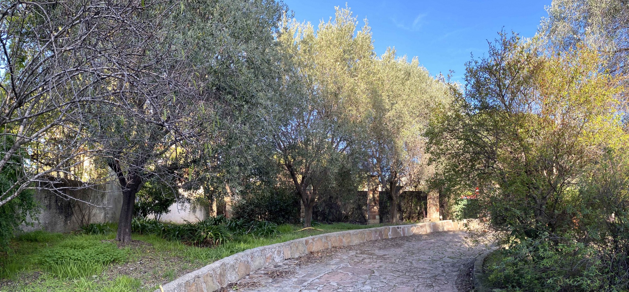 Vente Maison à Saint-Raphaël 11 pièces