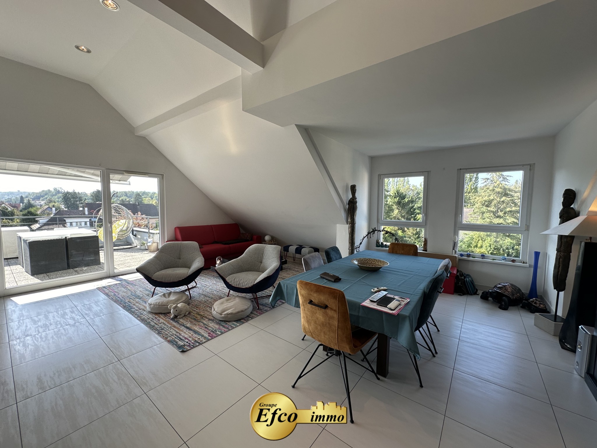 Vente Appartement à Hégenheim 5 pièces