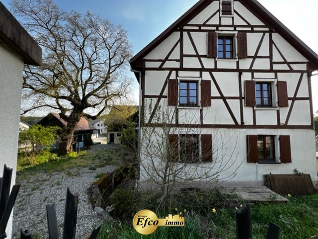 Vente Maison à Bartenheim 10 pièces