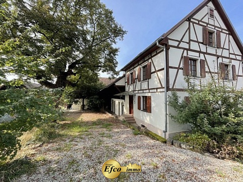 Vente Maison à Bartenheim 10 pièces