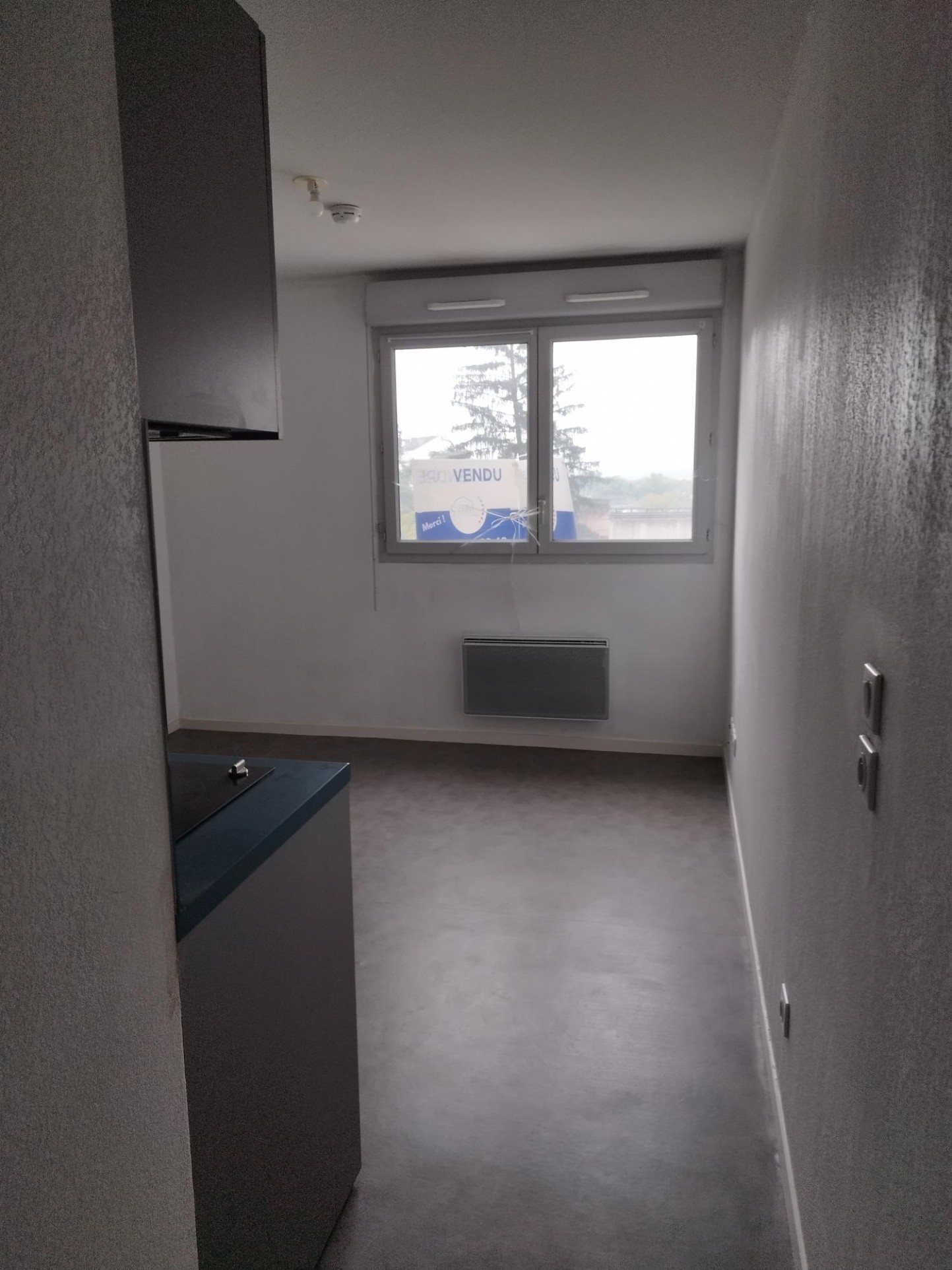 Vente Appartement à Caluire-et-Cuire 1 pièce