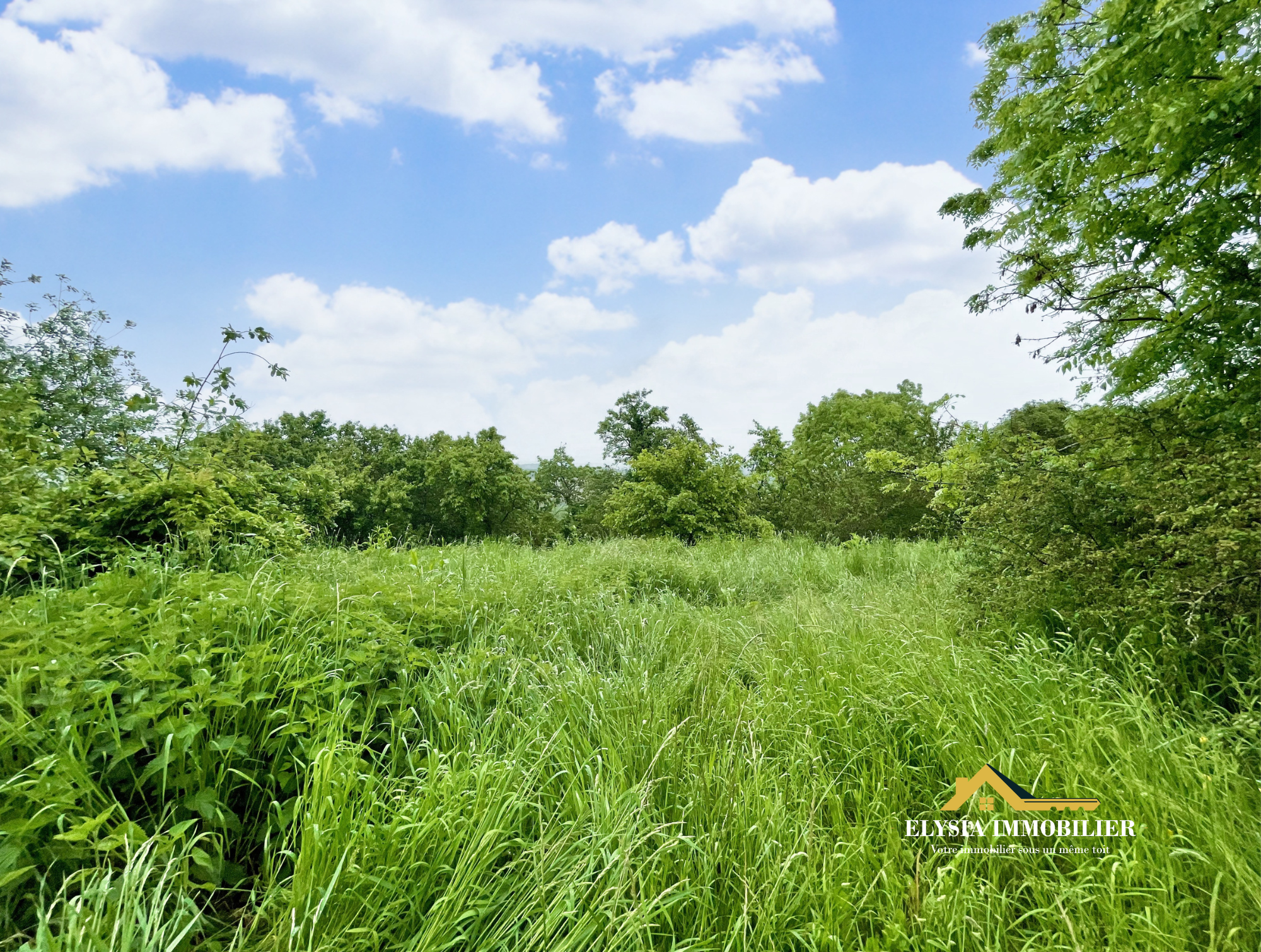 Vente Terrain à Mousson 0 pièce