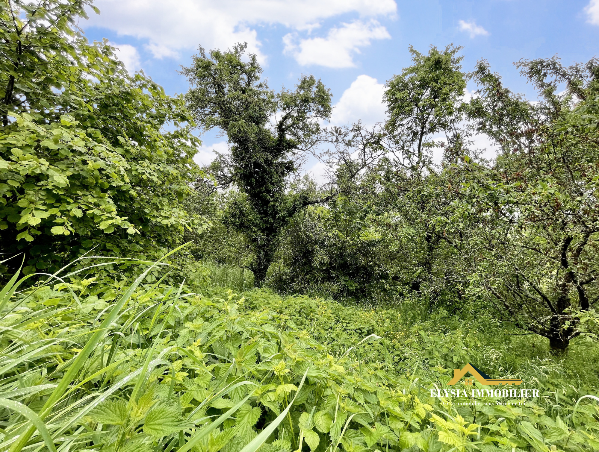 Vente Terrain à Mousson 0 pièce