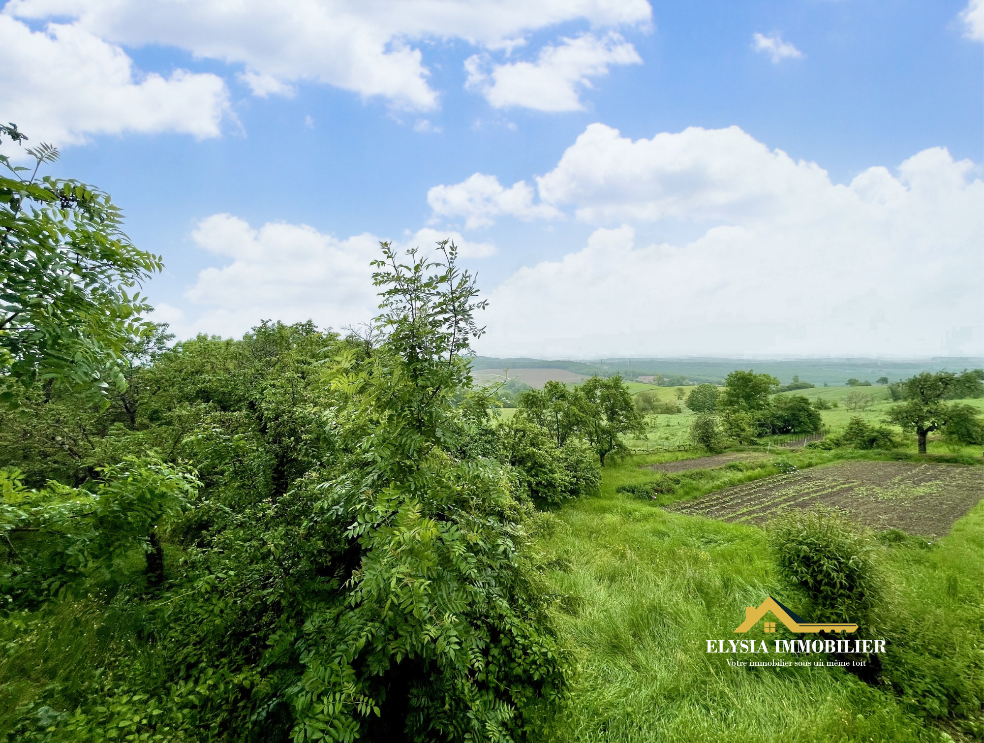 Vente Terrain à Mousson 0 pièce