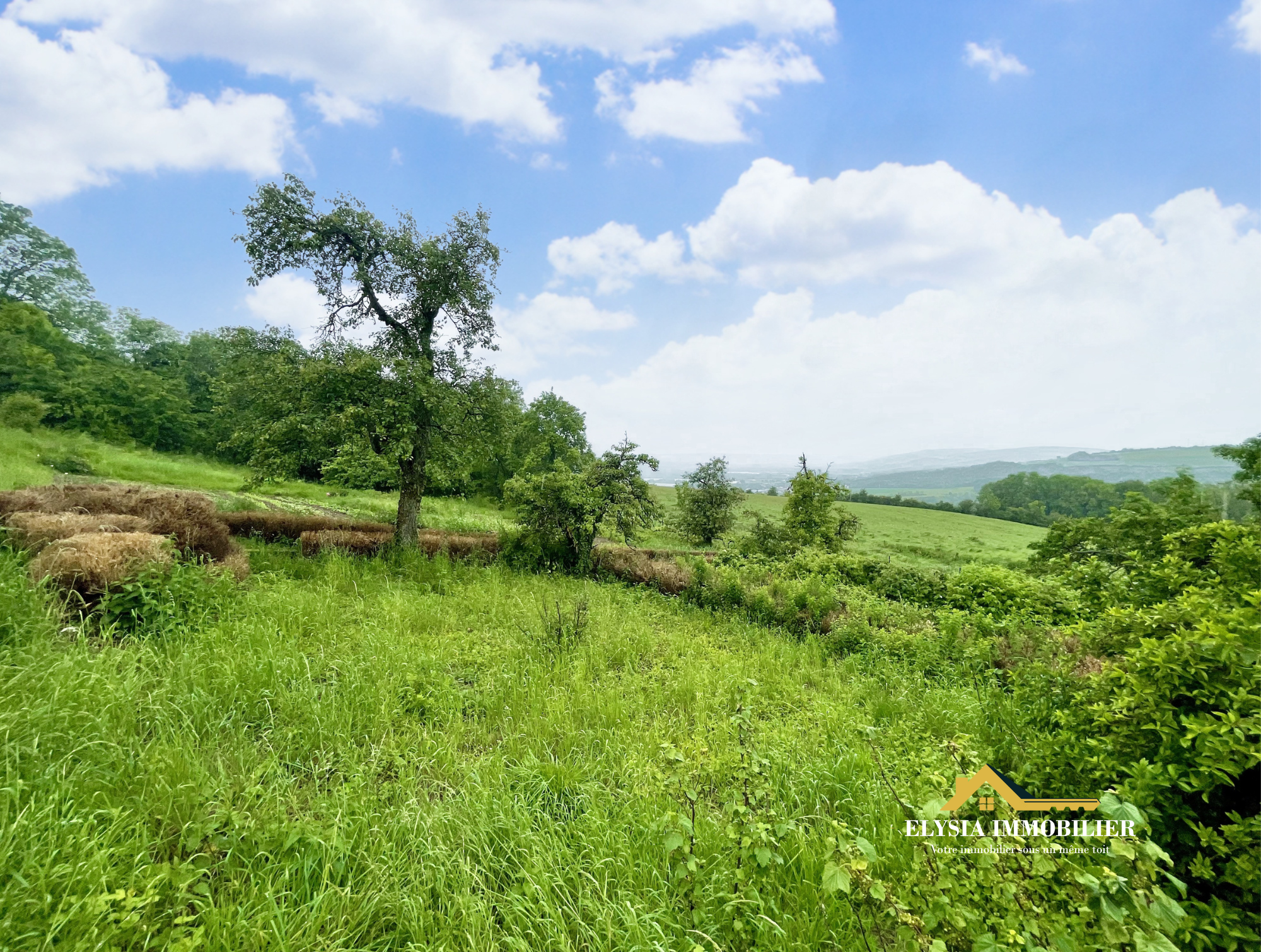 Vente Terrain à Mousson 0 pièce