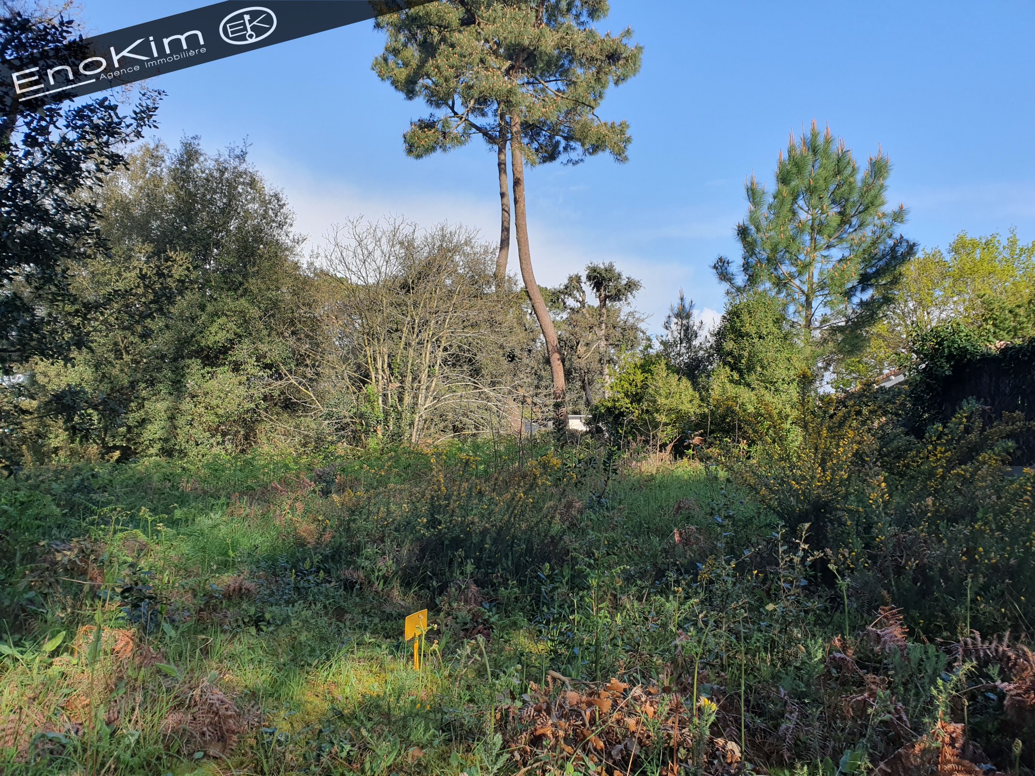 Vente Terrain à Jard-sur-Mer 0 pièce