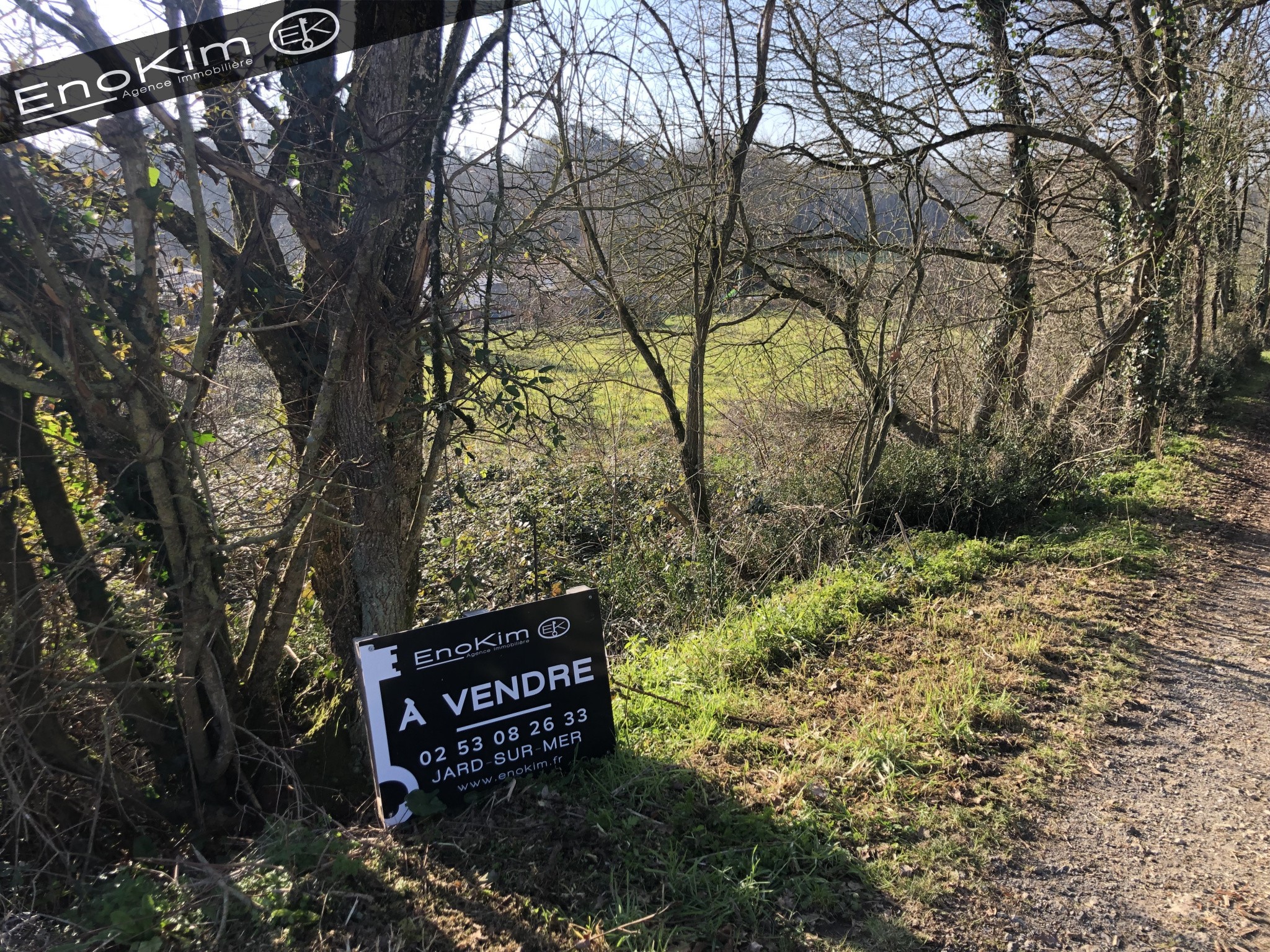 Vente Terrain à la Roche-sur-Yon 0 pièce