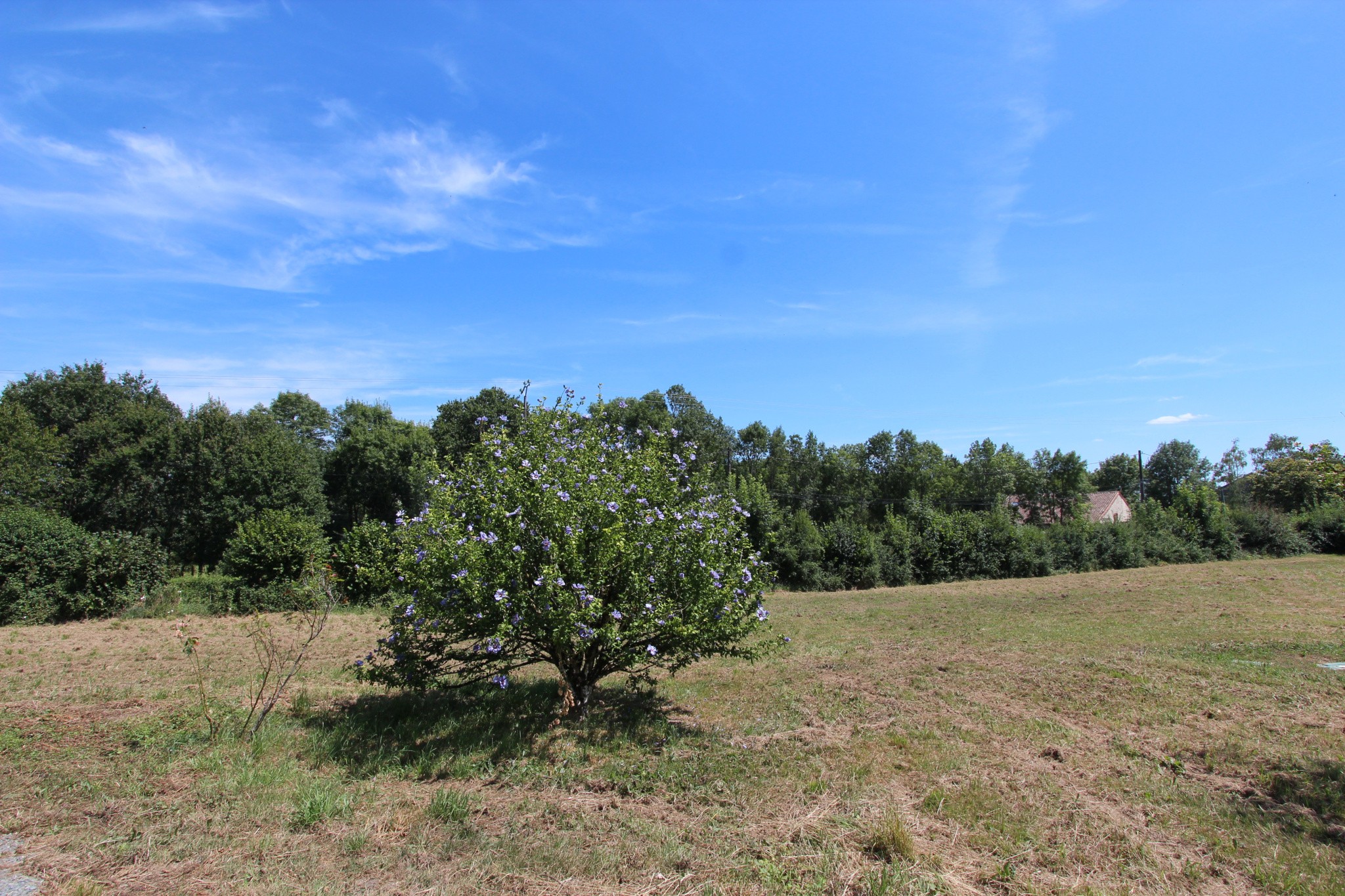 Vente Maison à Saint-Laurs 5 pièces