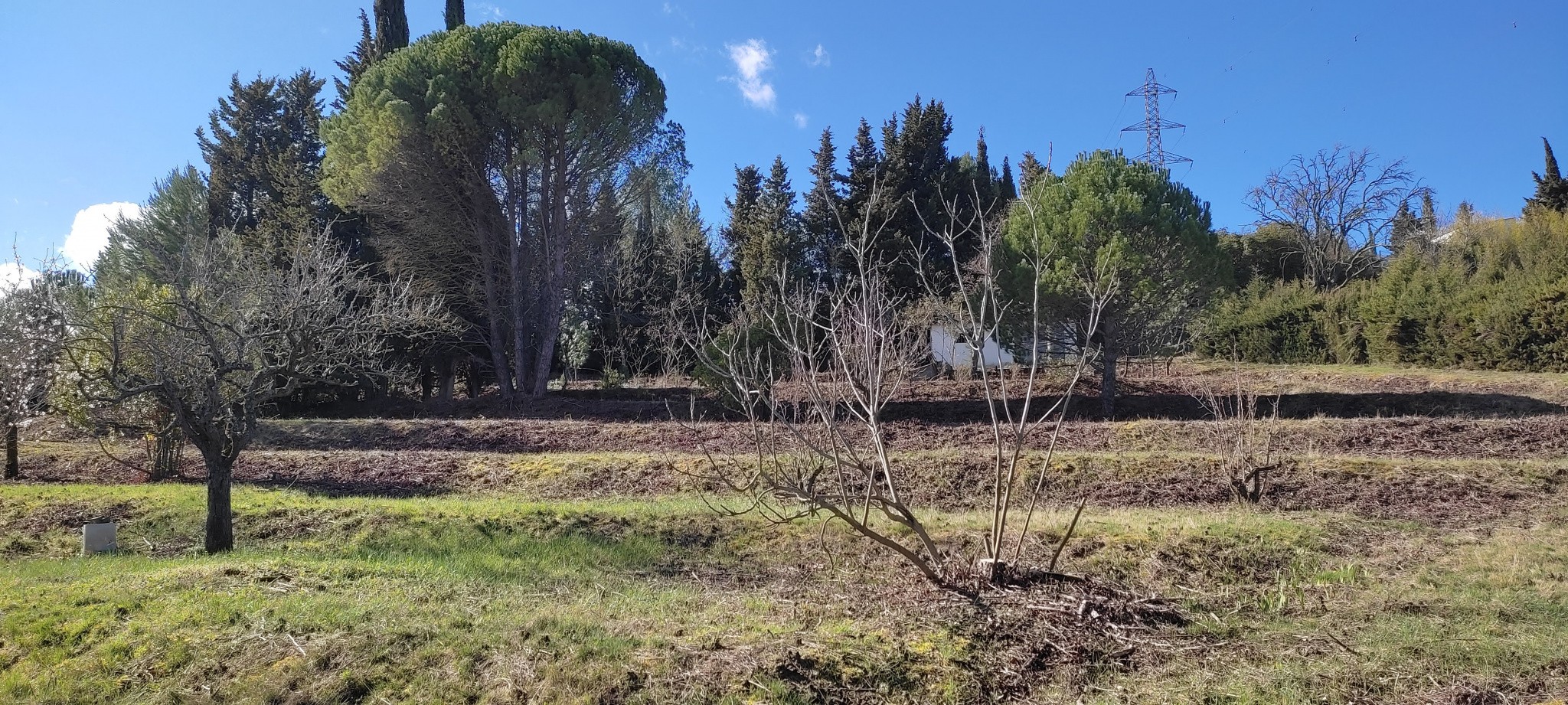 Vente Maison à Carcassonne 3 pièces