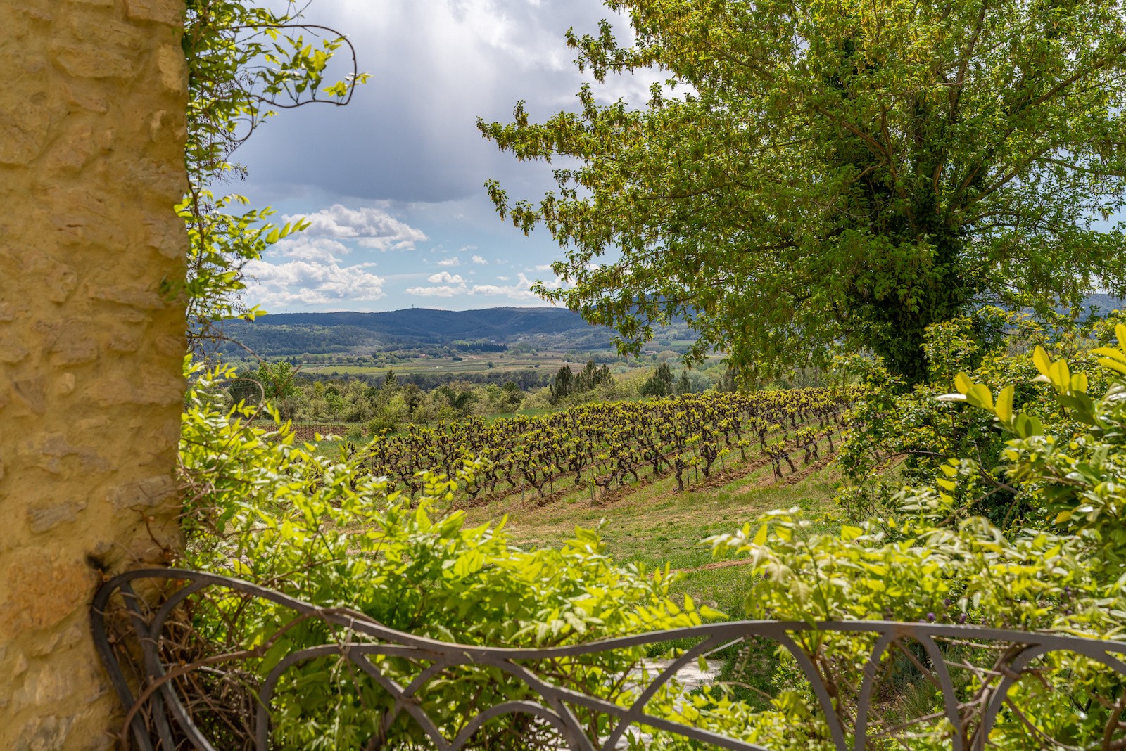 Vente Maison à Uzès 14 pièces