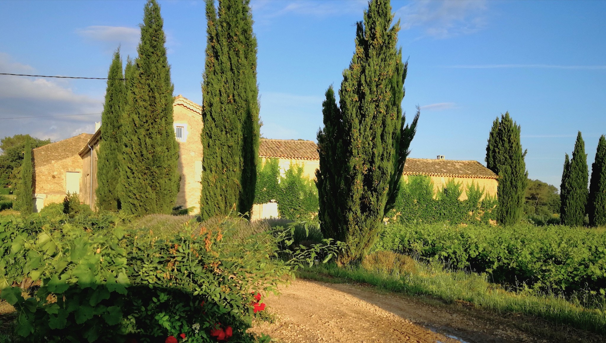 Vente Maison à Uzès 12 pièces