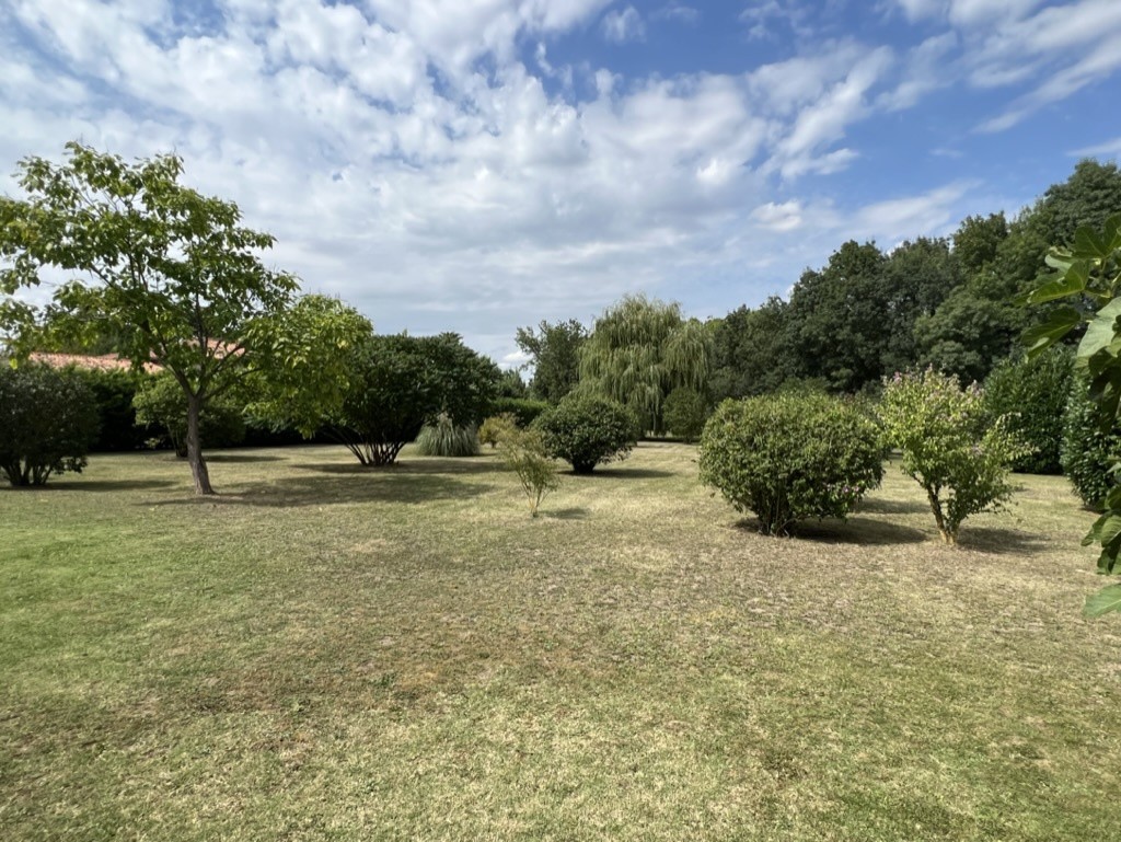 Vente Maison à Saint-Martin-de-Juillers 15 pièces