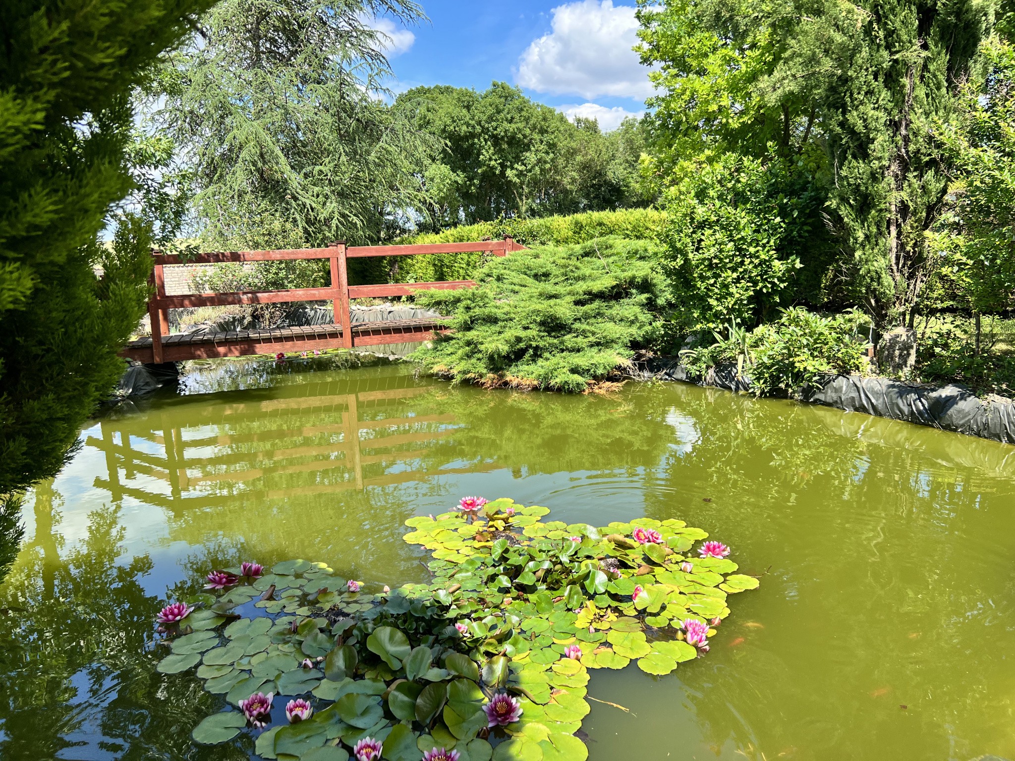 Vente Maison à Brioux-sur-Boutonne 10 pièces