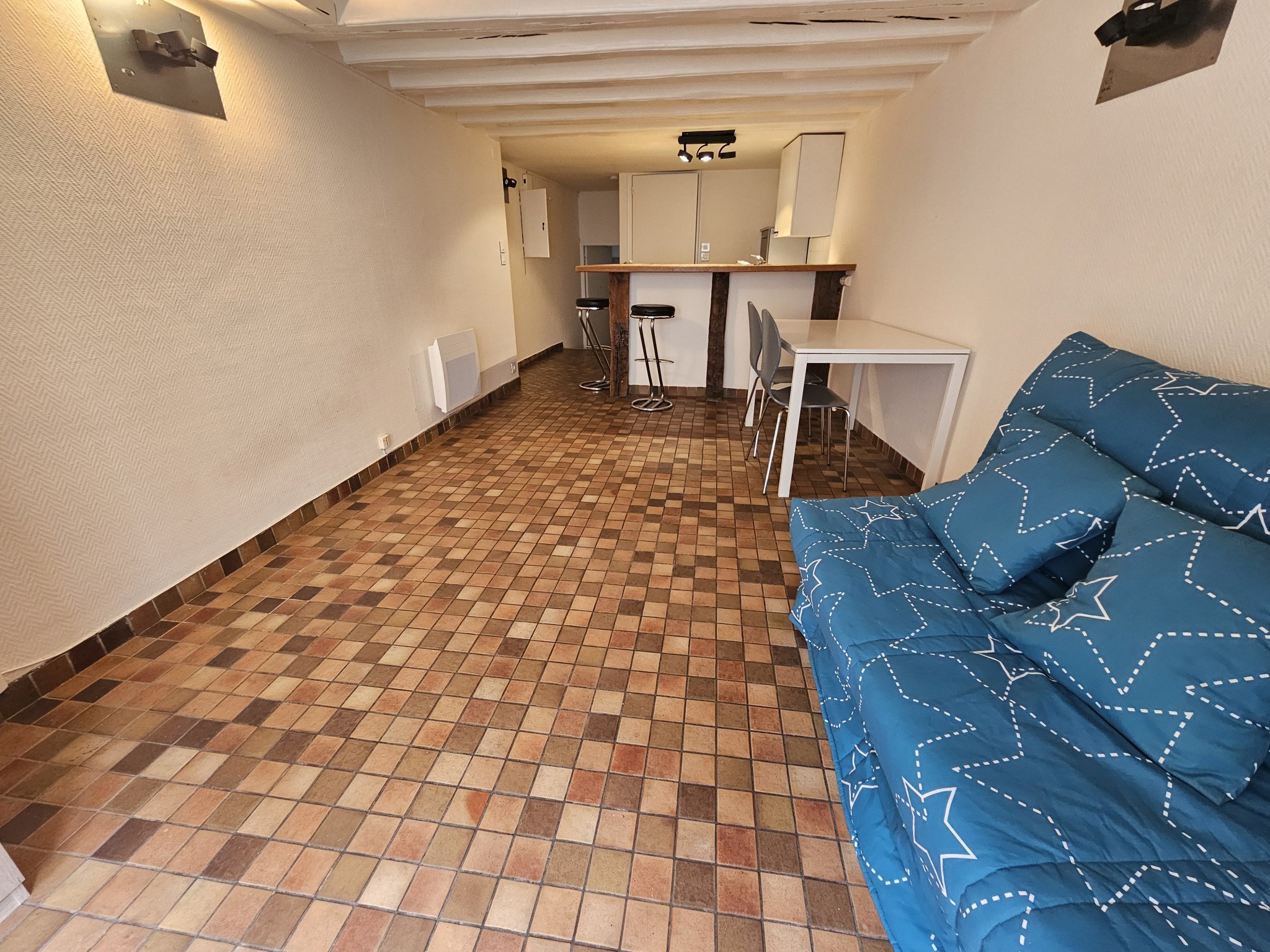 Vente Appartement à Nantes 1 pièce